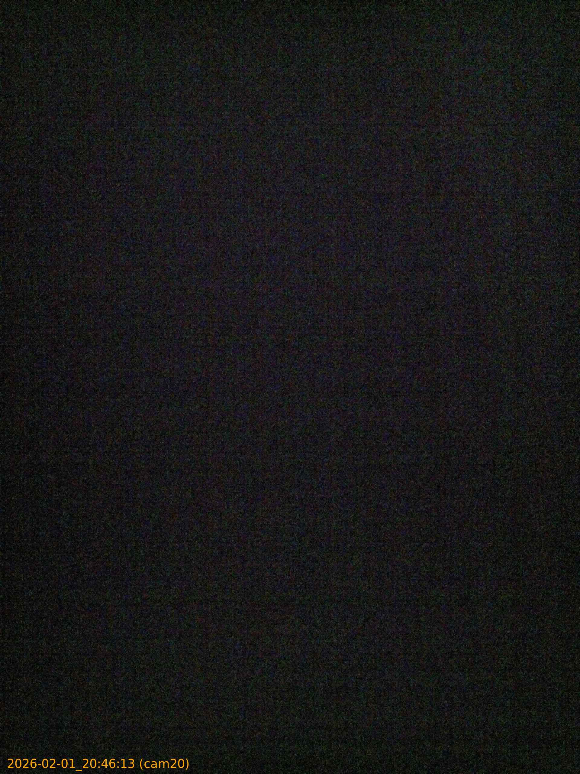 thumbnail_20260201204613