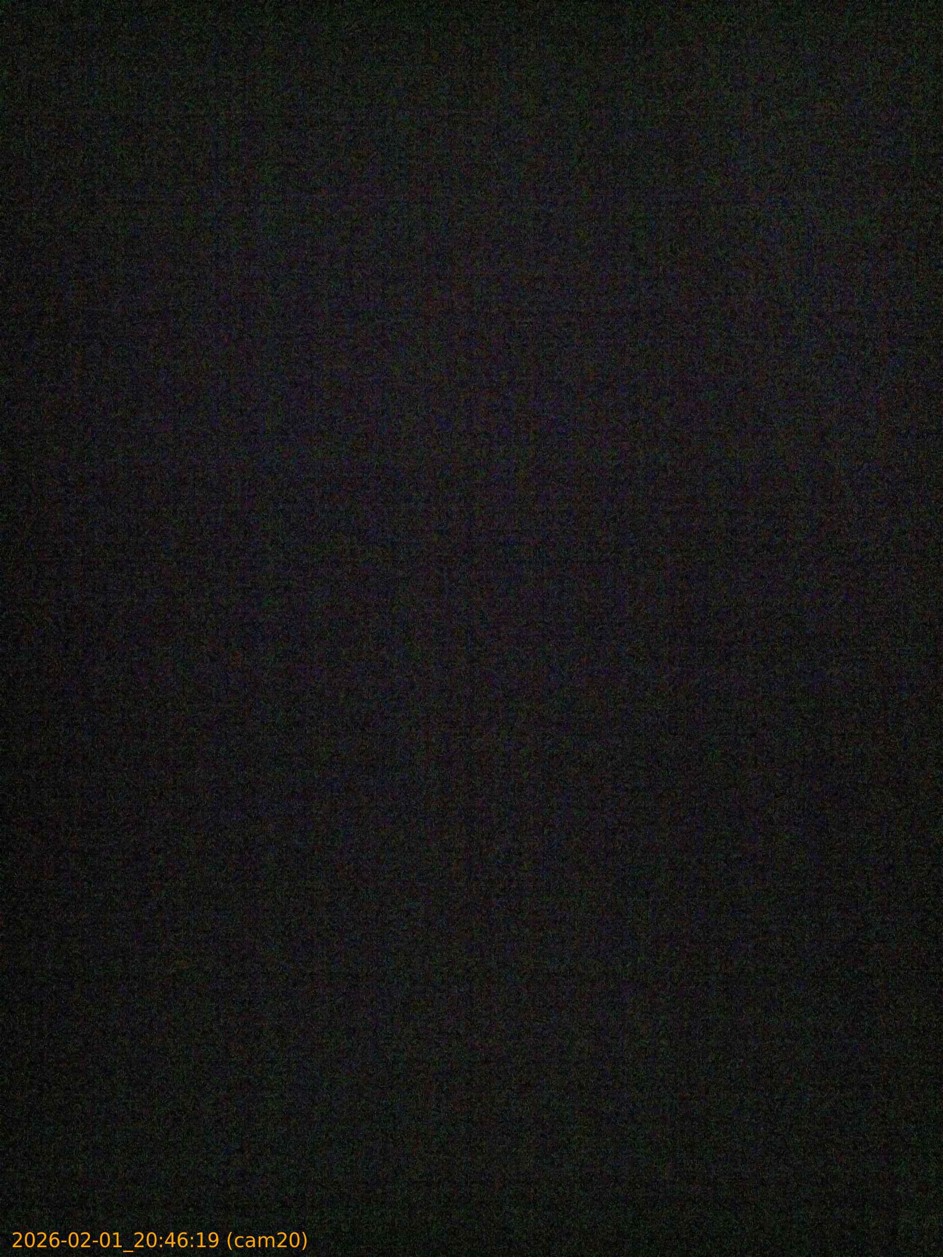 thumbnail_20260201204619