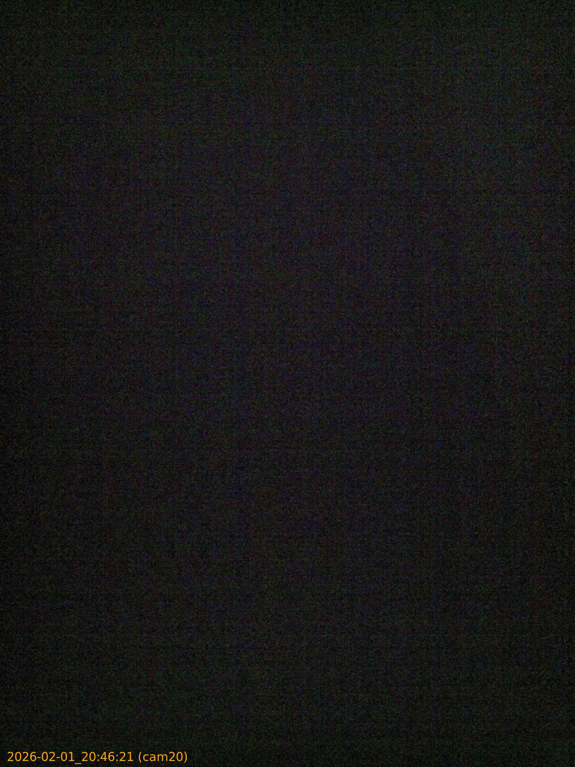 thumbnail_20260201204621