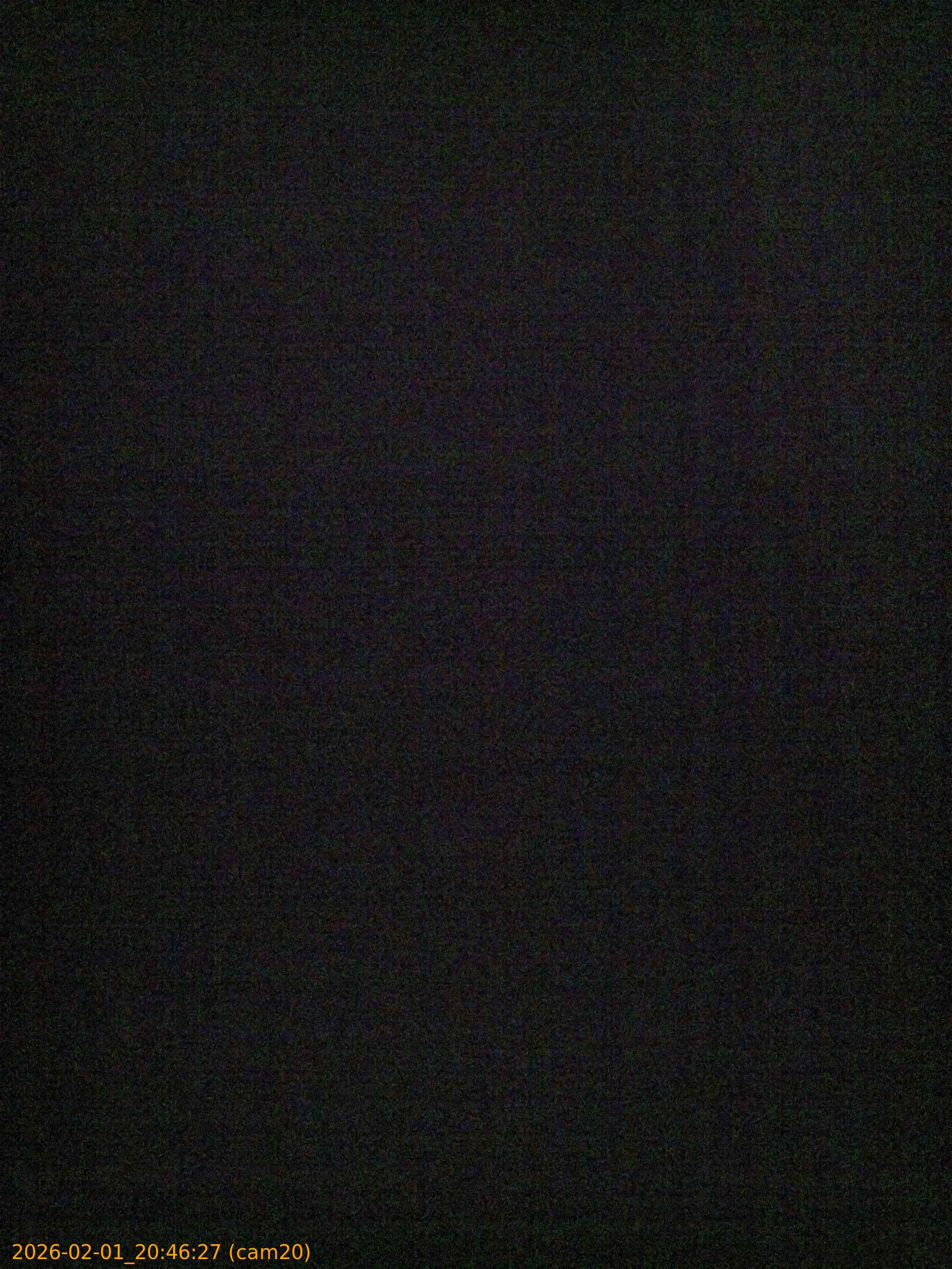 thumbnail_20260201204627