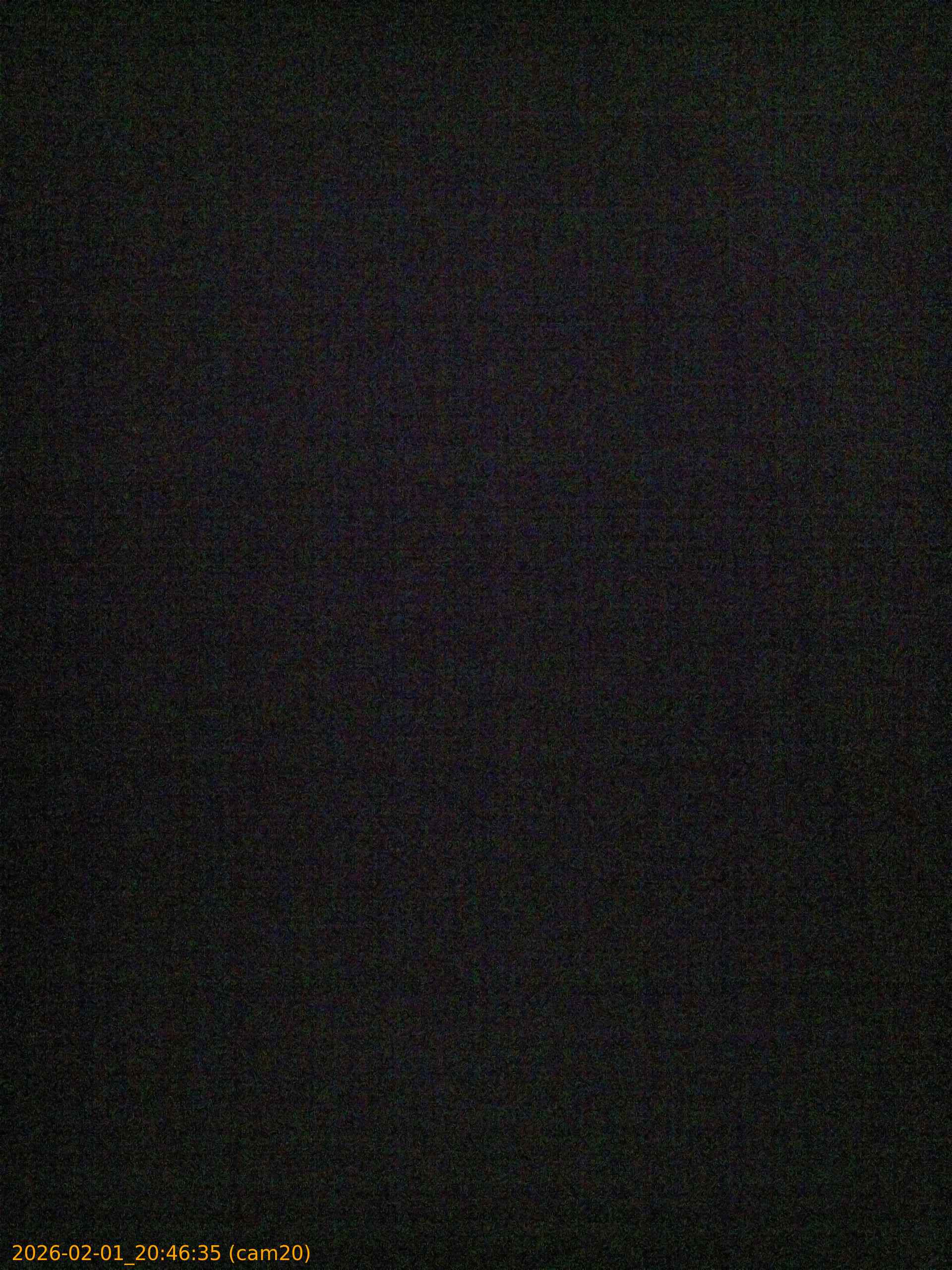 thumbnail_20260201204635