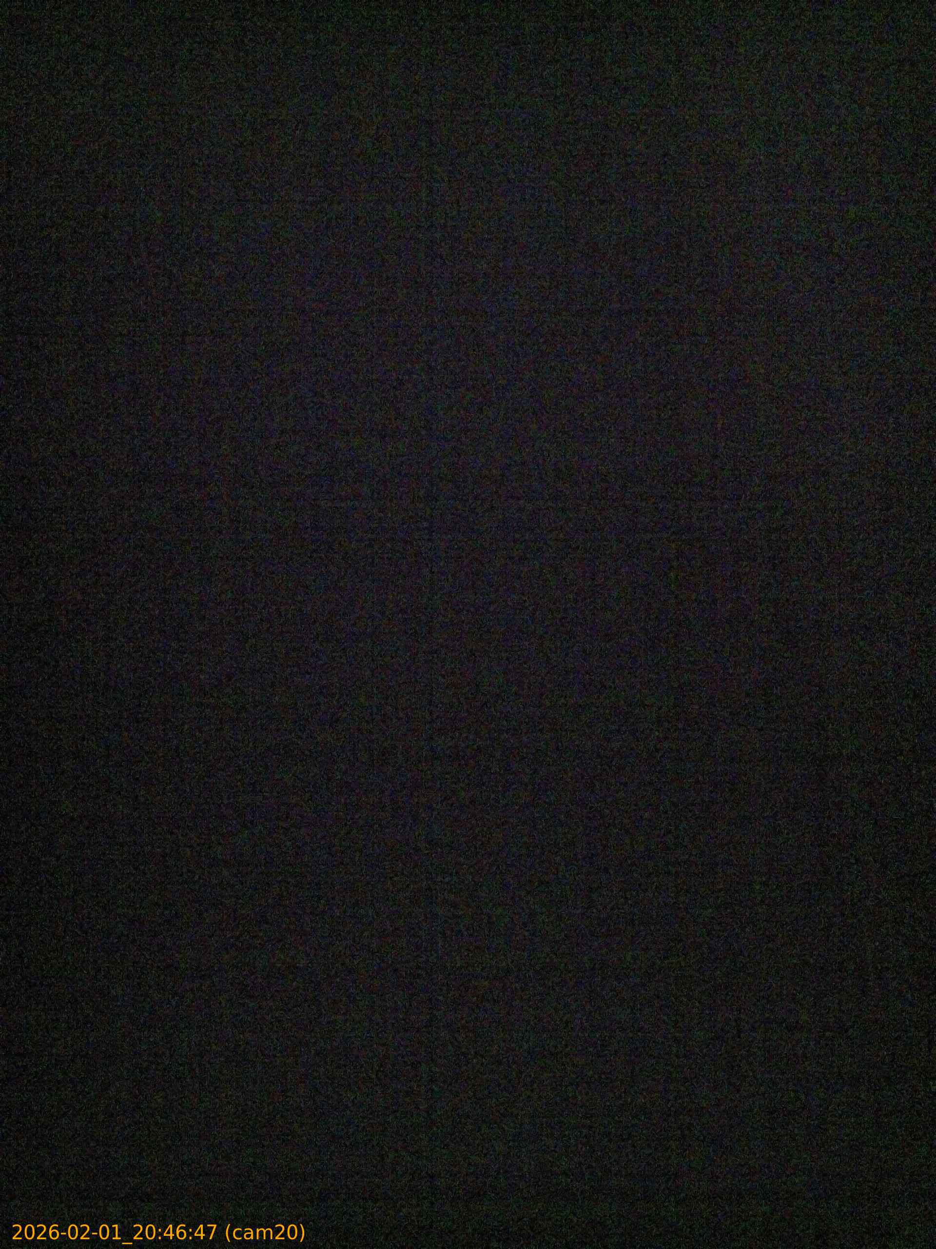 thumbnail_20260201204647