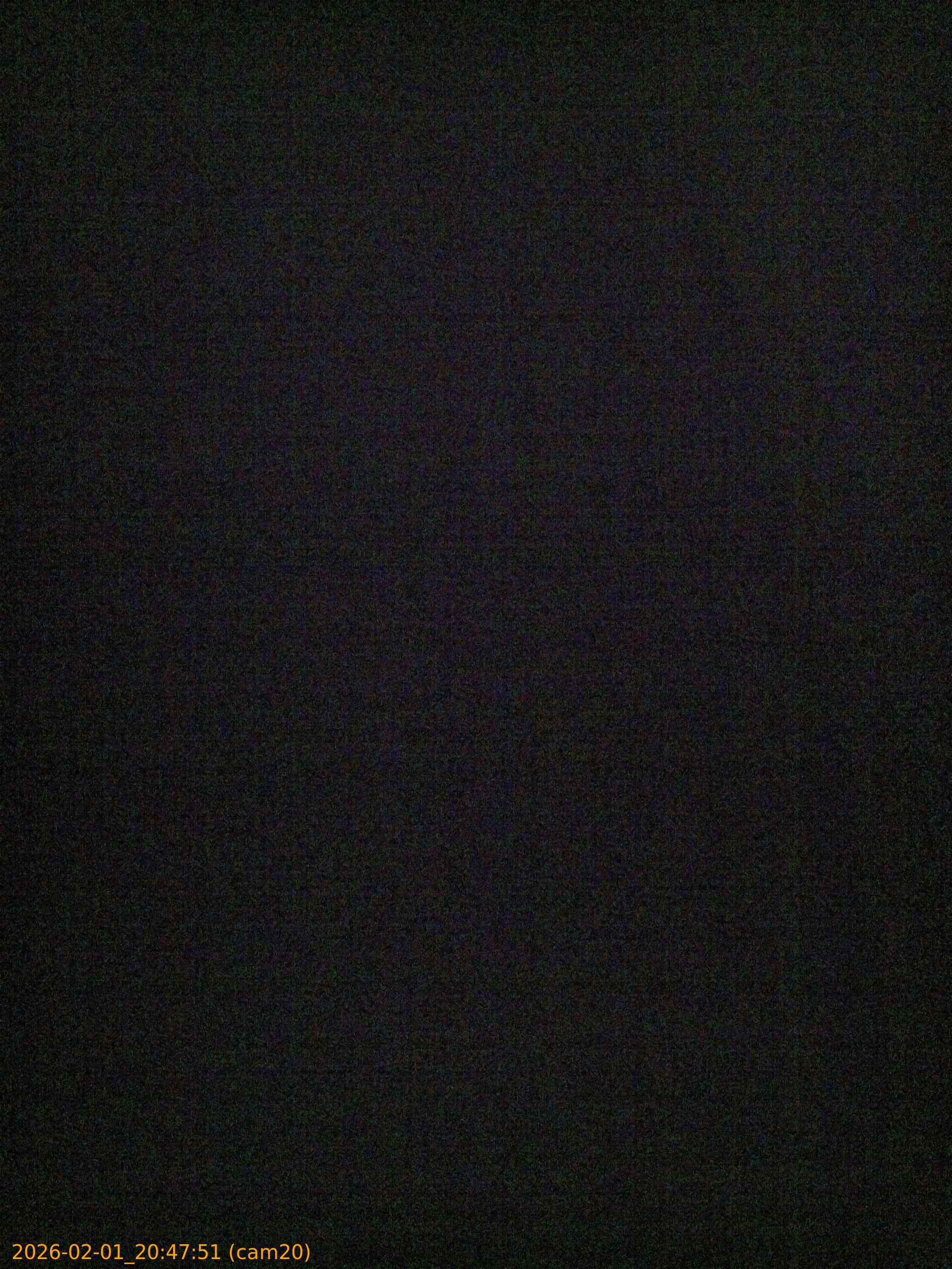 20260201204751