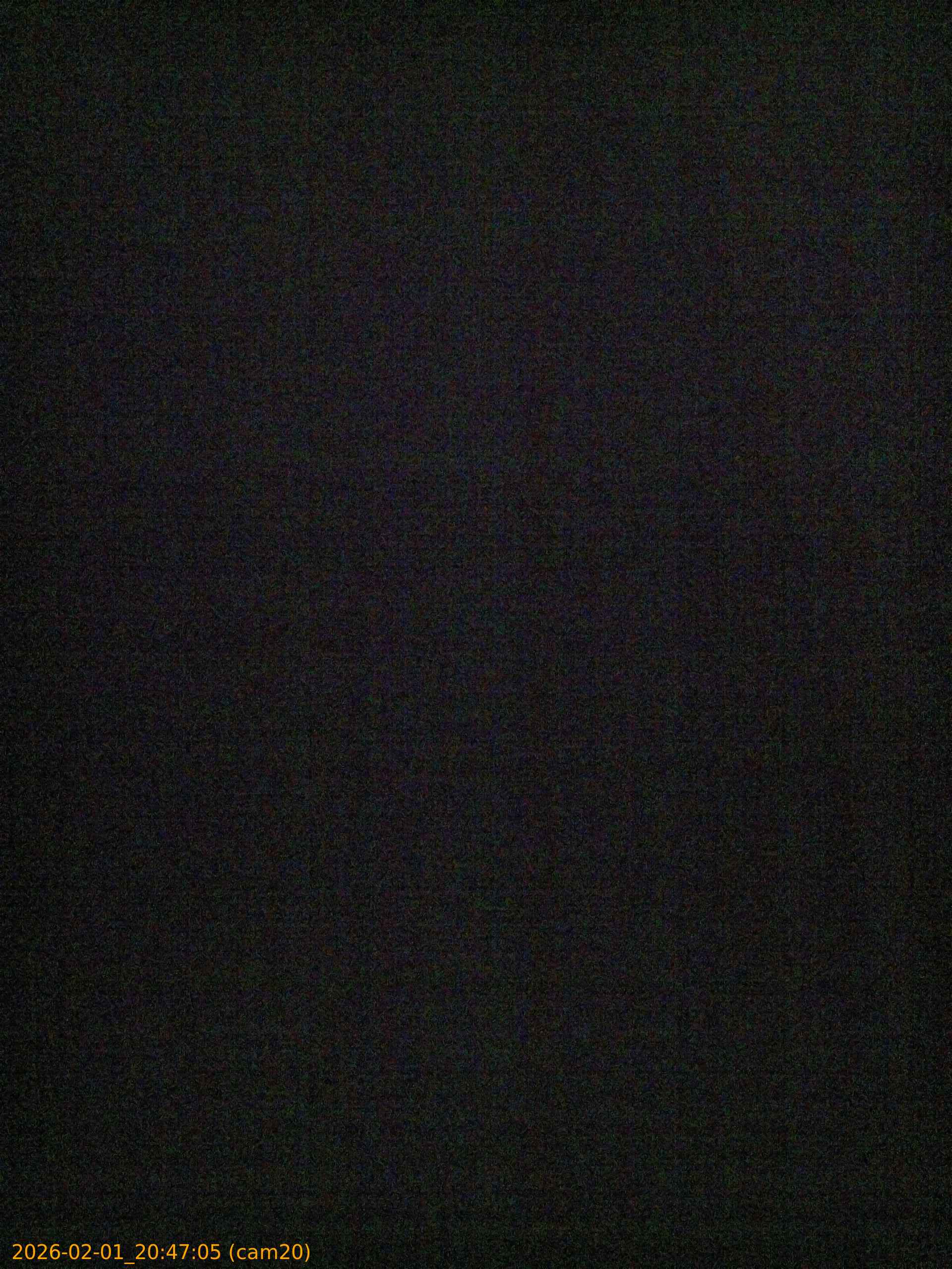 thumbnail_20260201204705