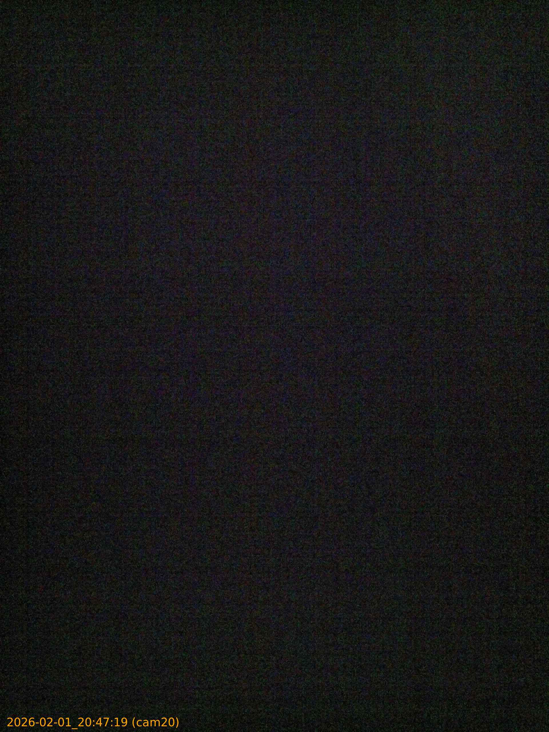 thumbnail_20260201204719