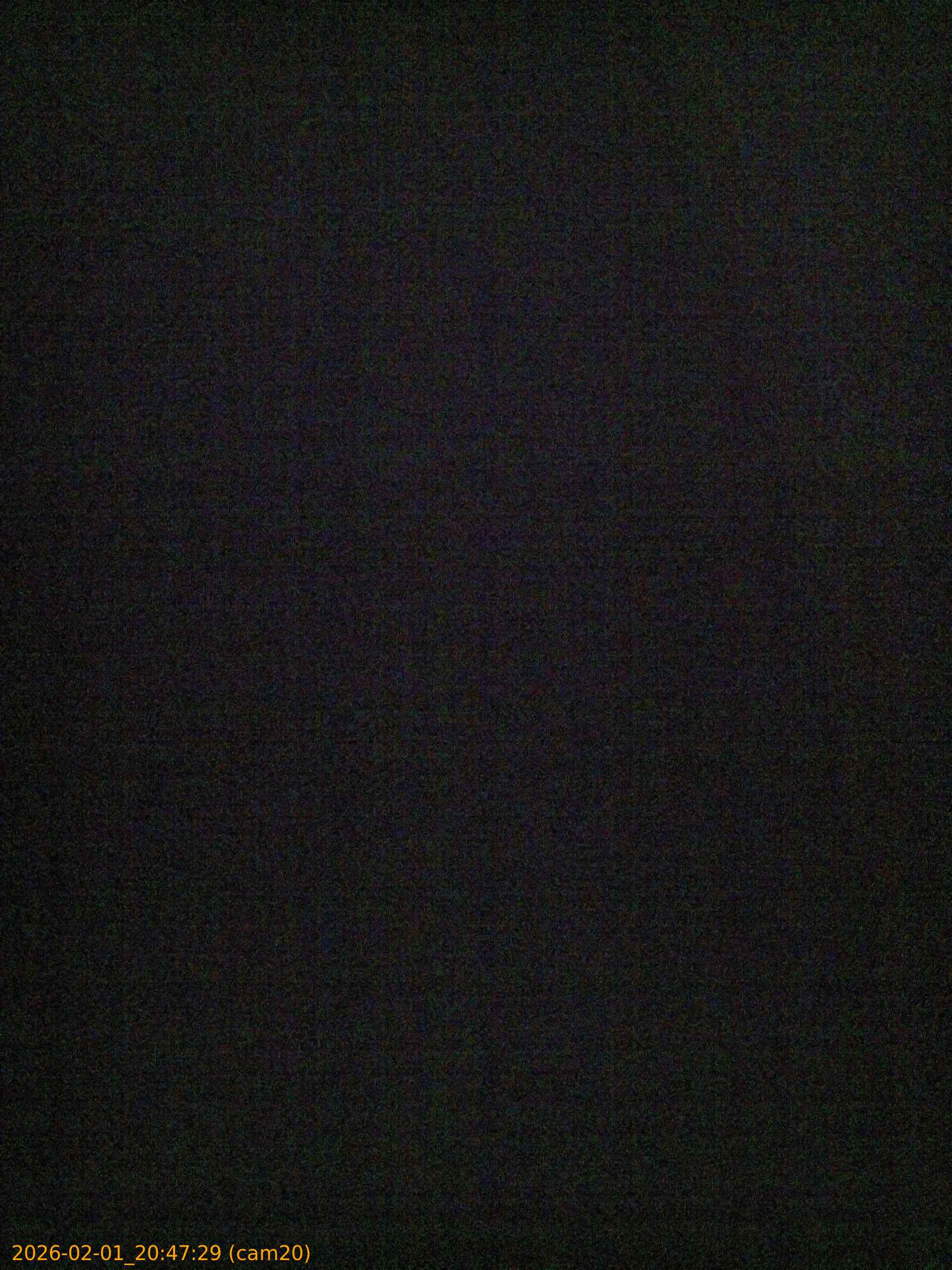 thumbnail_20260201204729