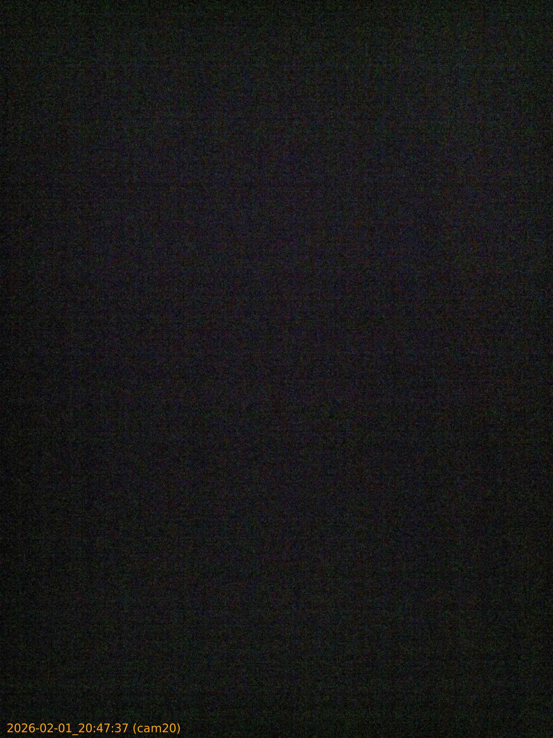 thumbnail_20260201204737