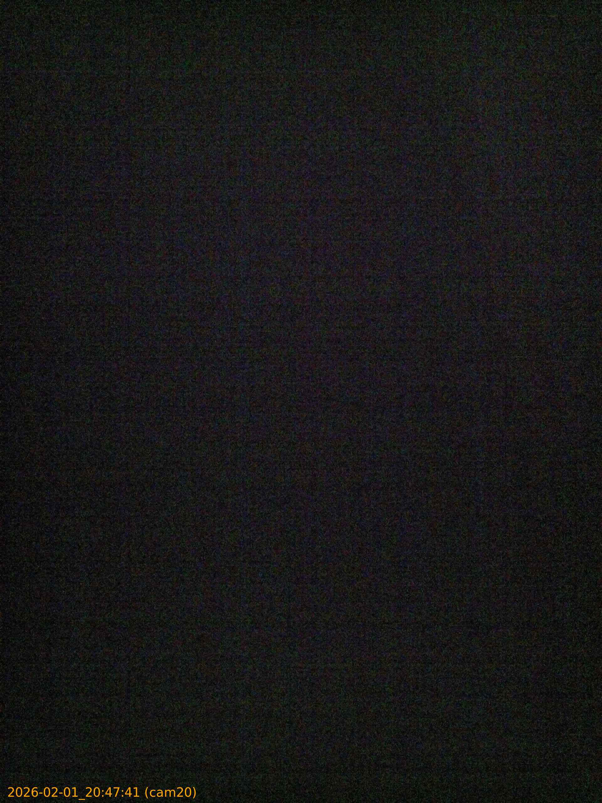 thumbnail_20260201204741