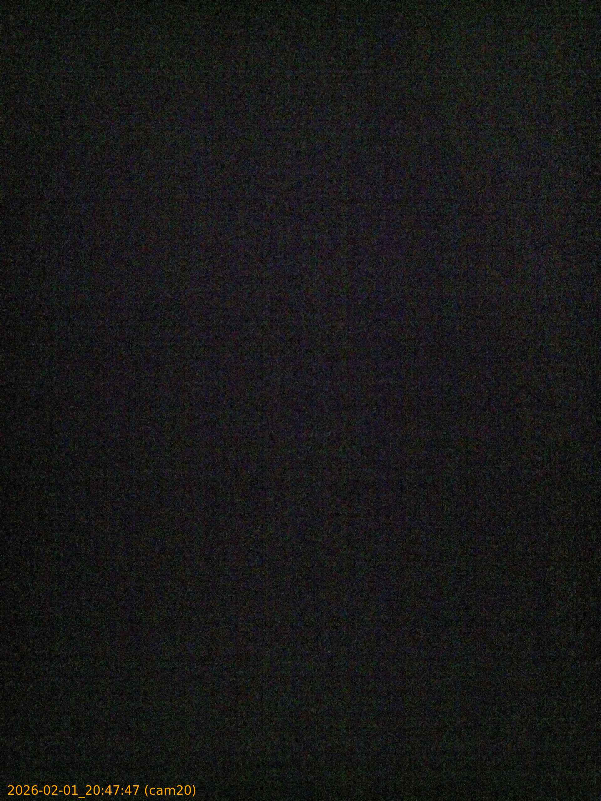 thumbnail_20260201204747