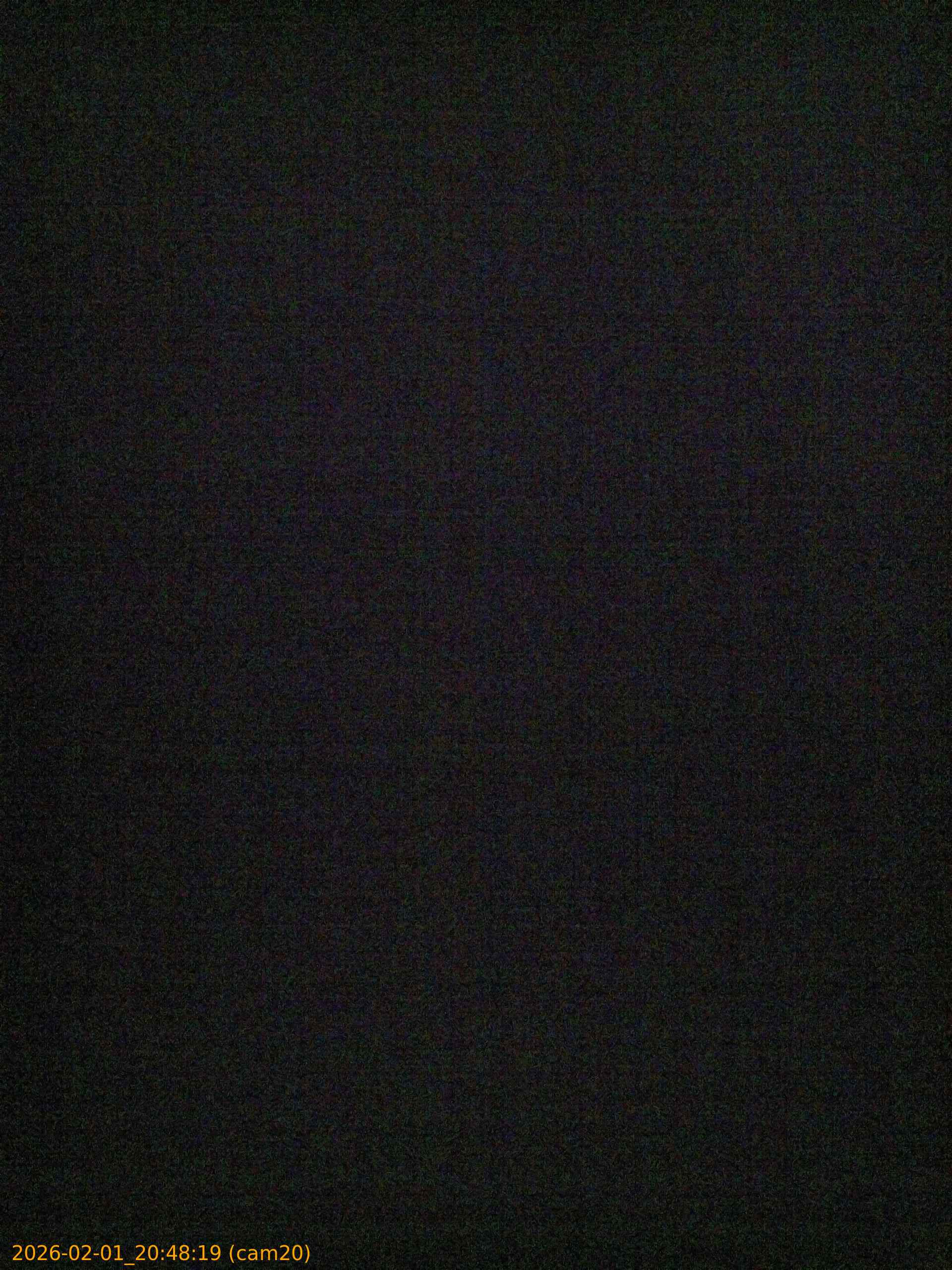 thumbnail_20260201204819