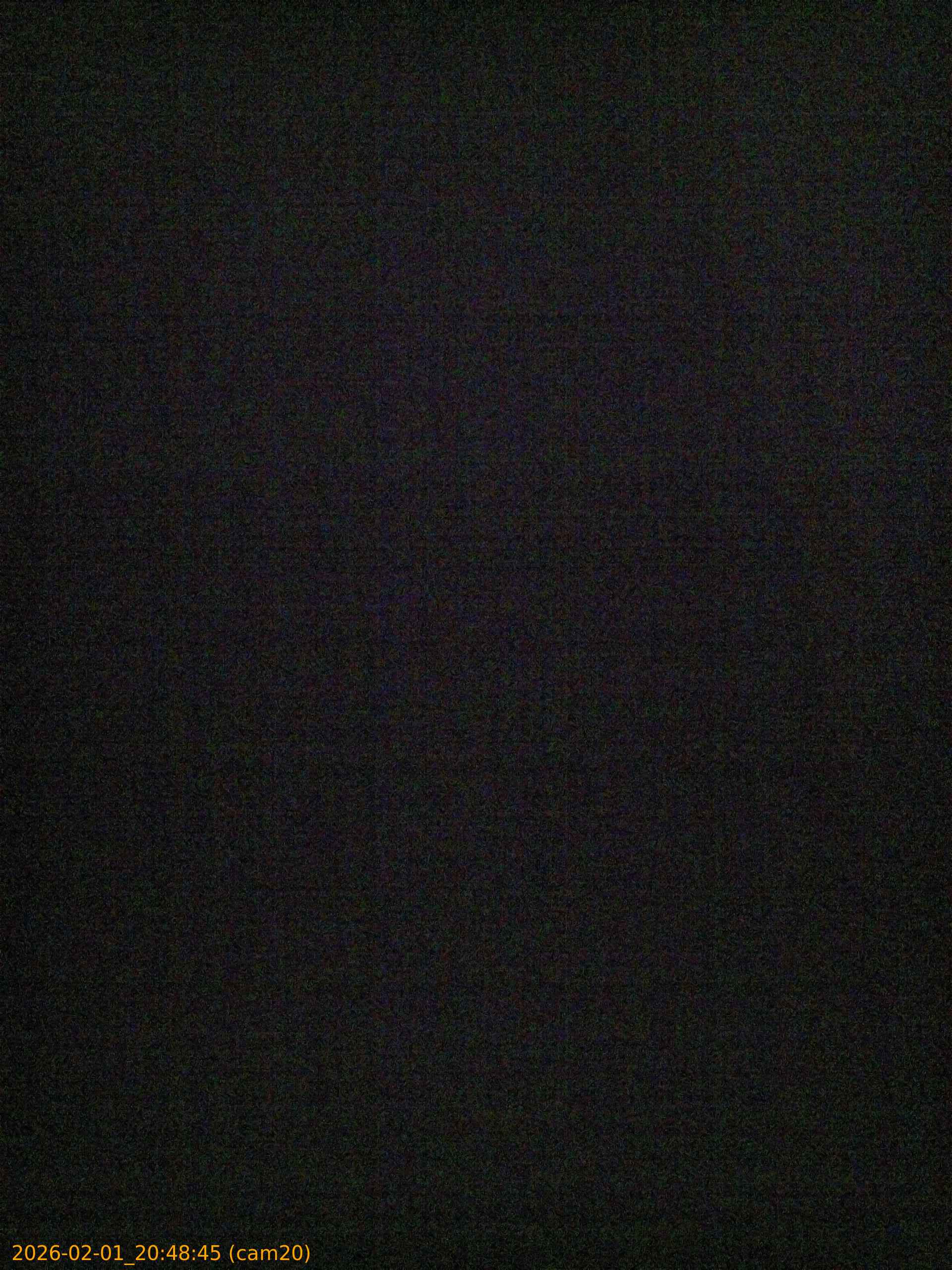 thumbnail_20260201204845