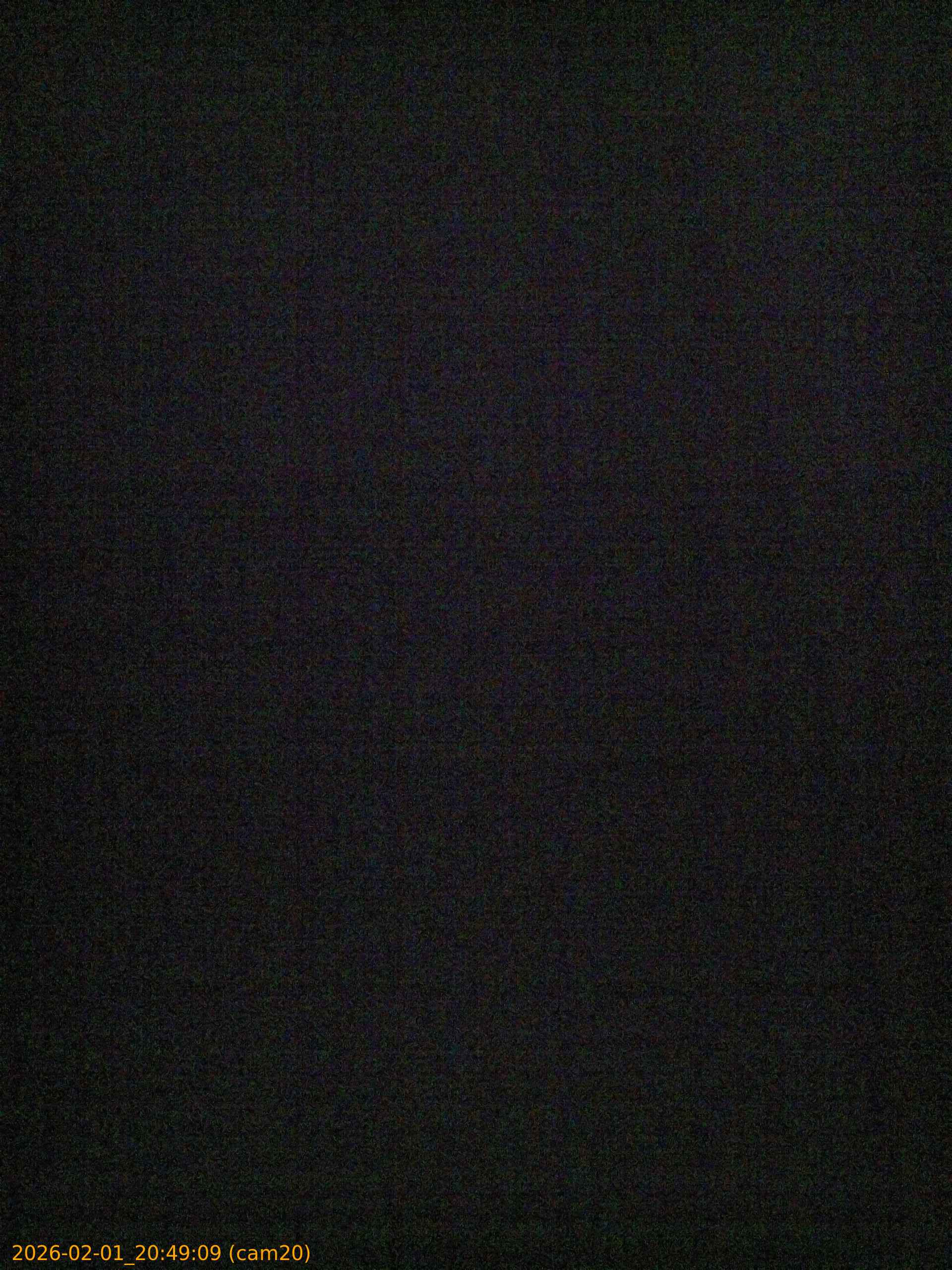 thumbnail_20260201204909