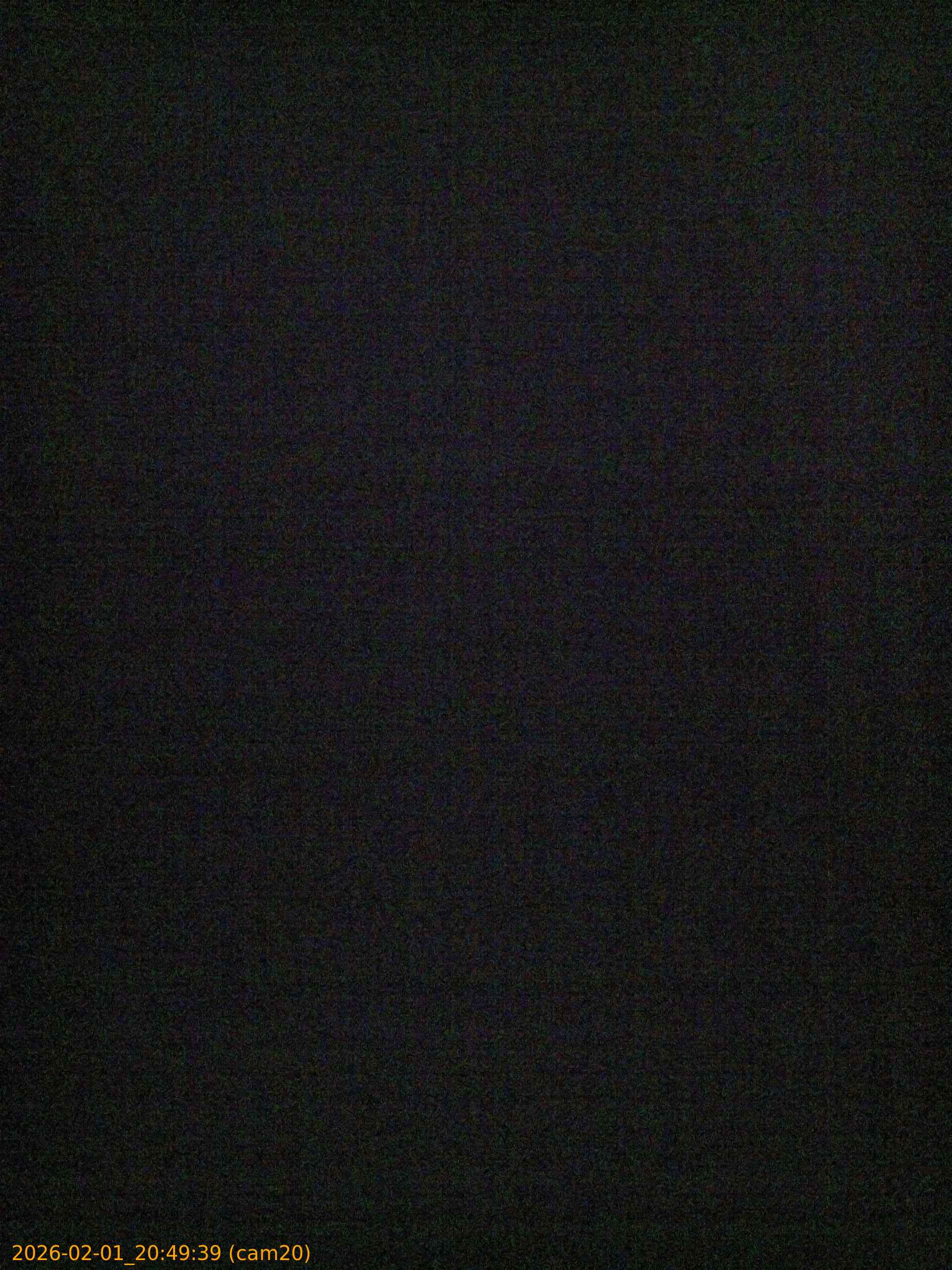 thumbnail_20260201204939