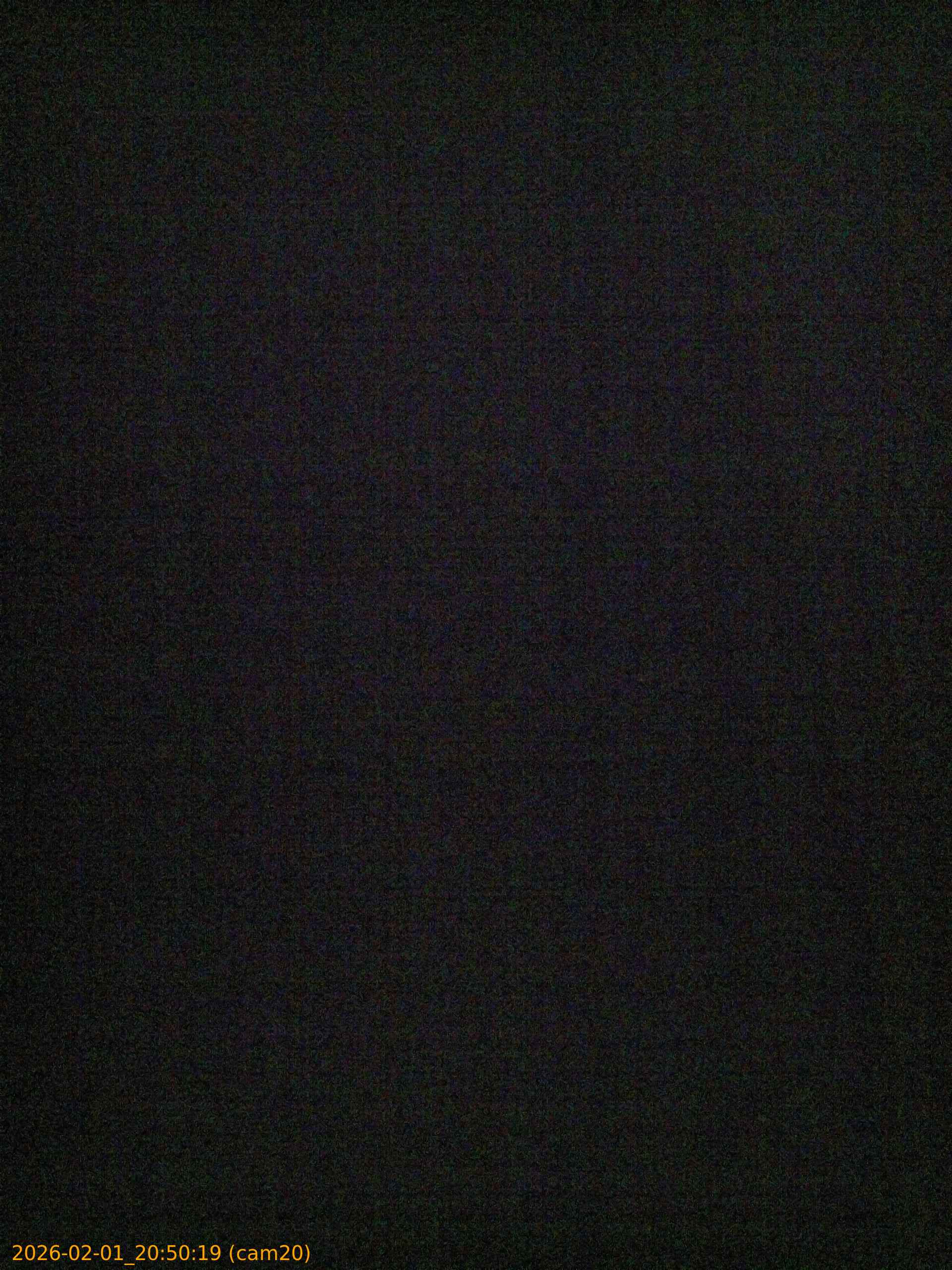 thumbnail_20260201205019