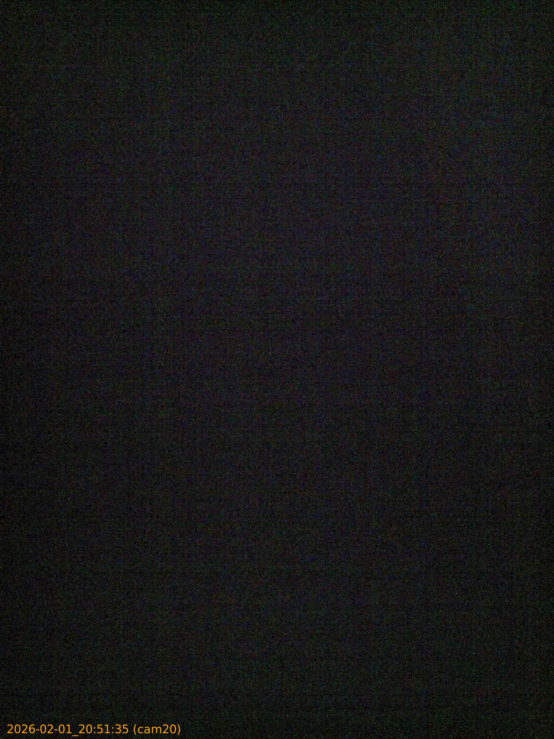 thumbnail_20260201205135