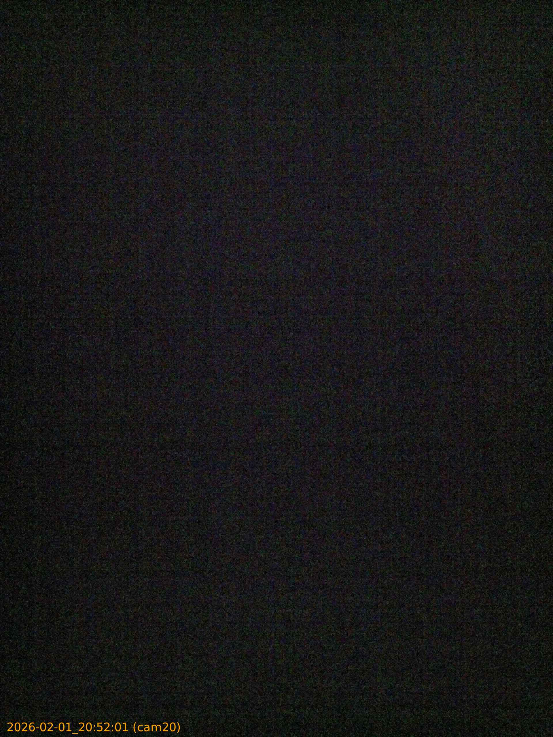 thumbnail_20260201205201