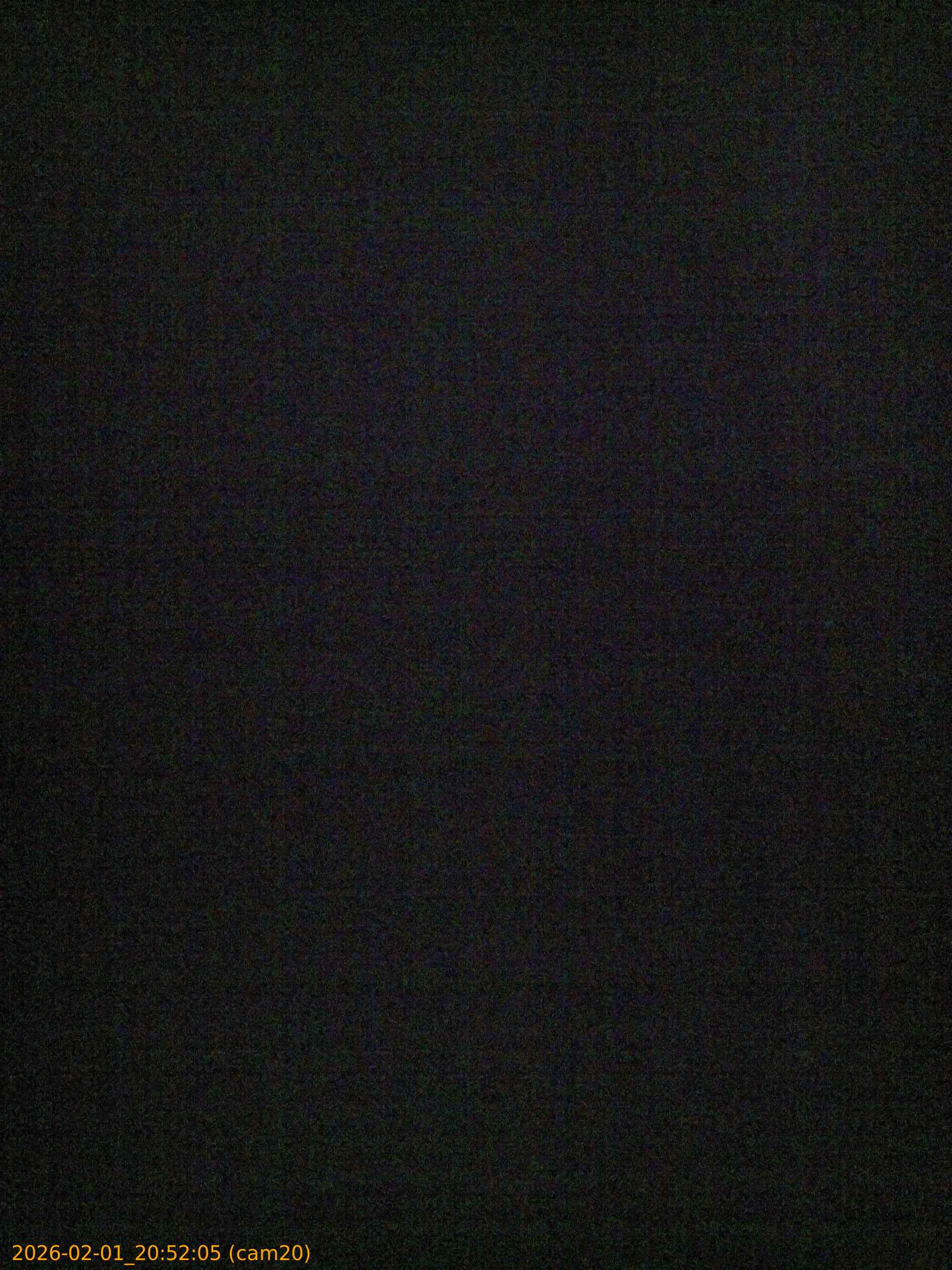 thumbnail_20260201205205