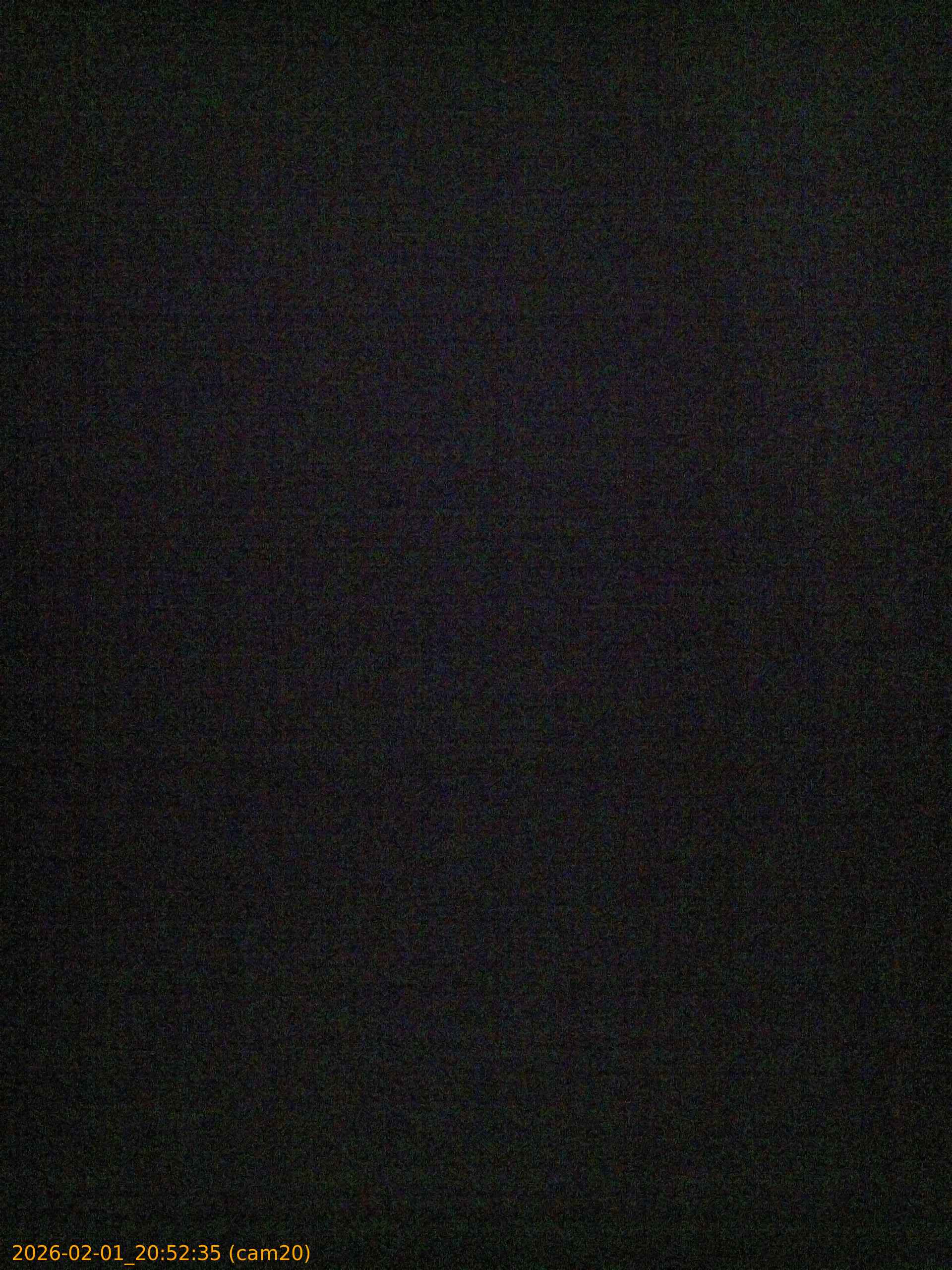 thumbnail_20260201205235