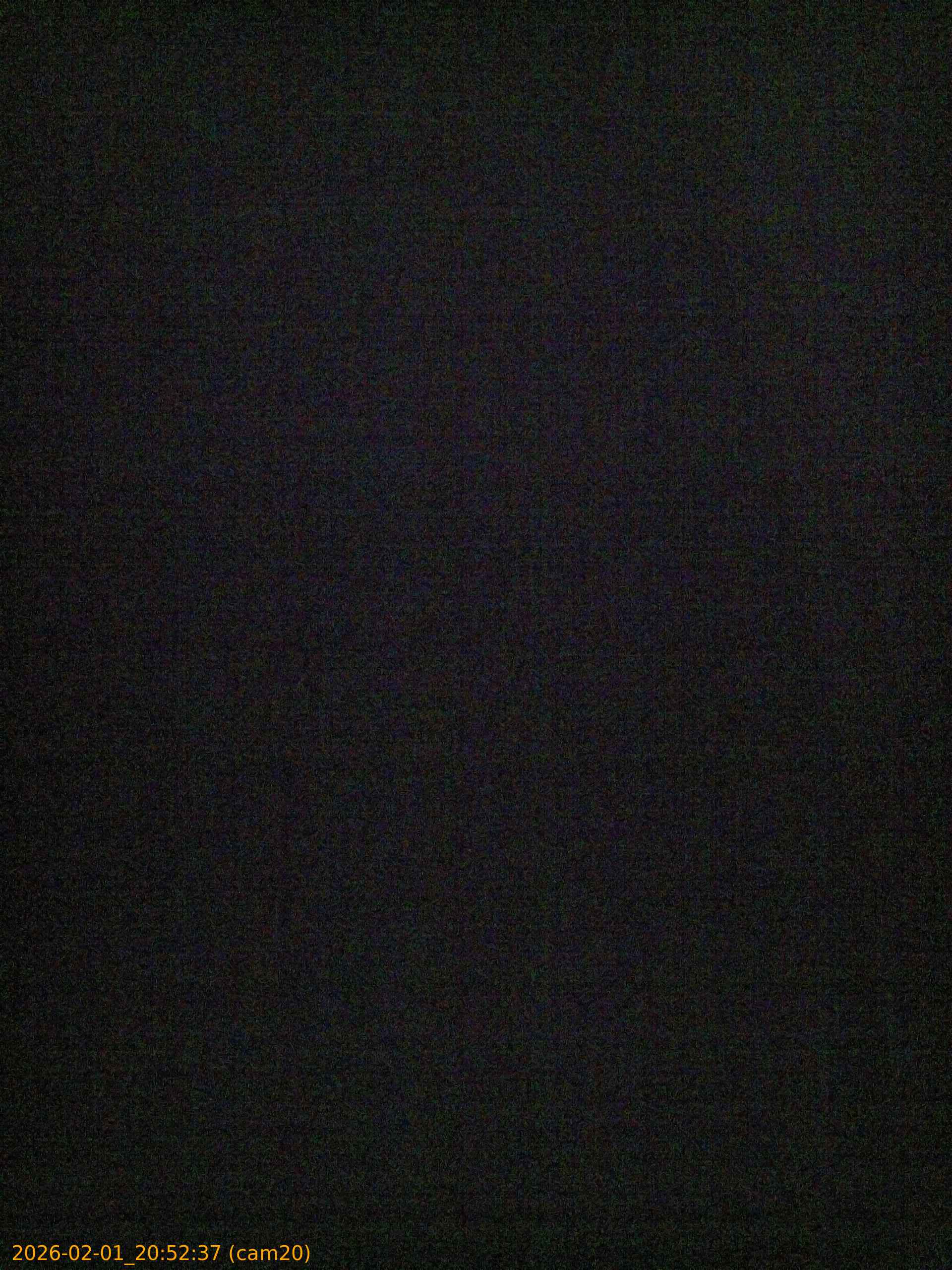 thumbnail_20260201205237