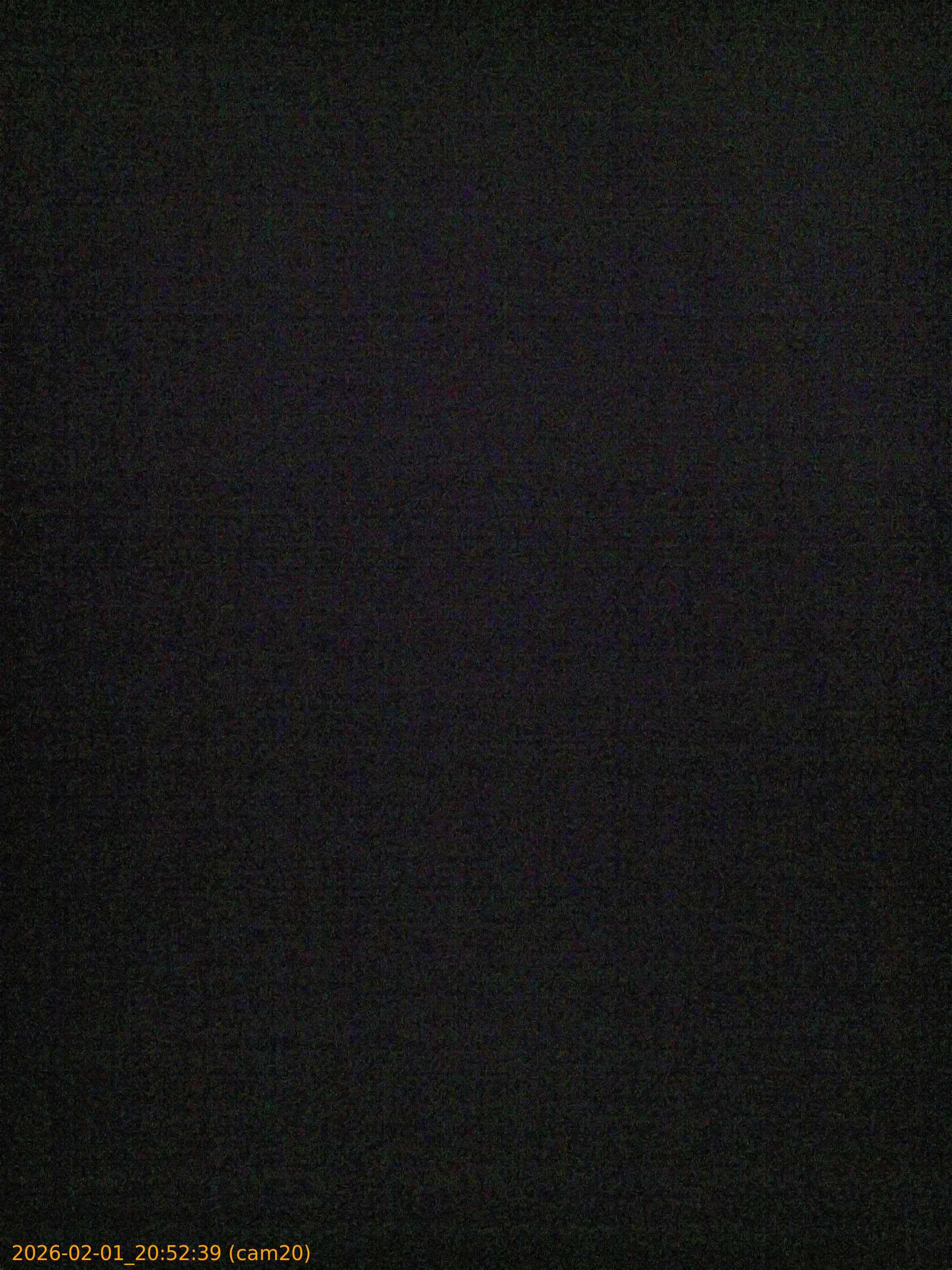 thumbnail_20260201205239