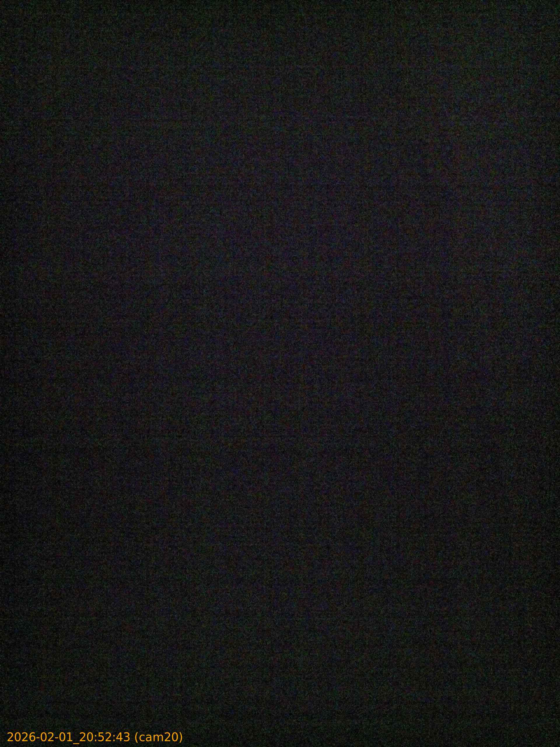 thumbnail_20260201205243