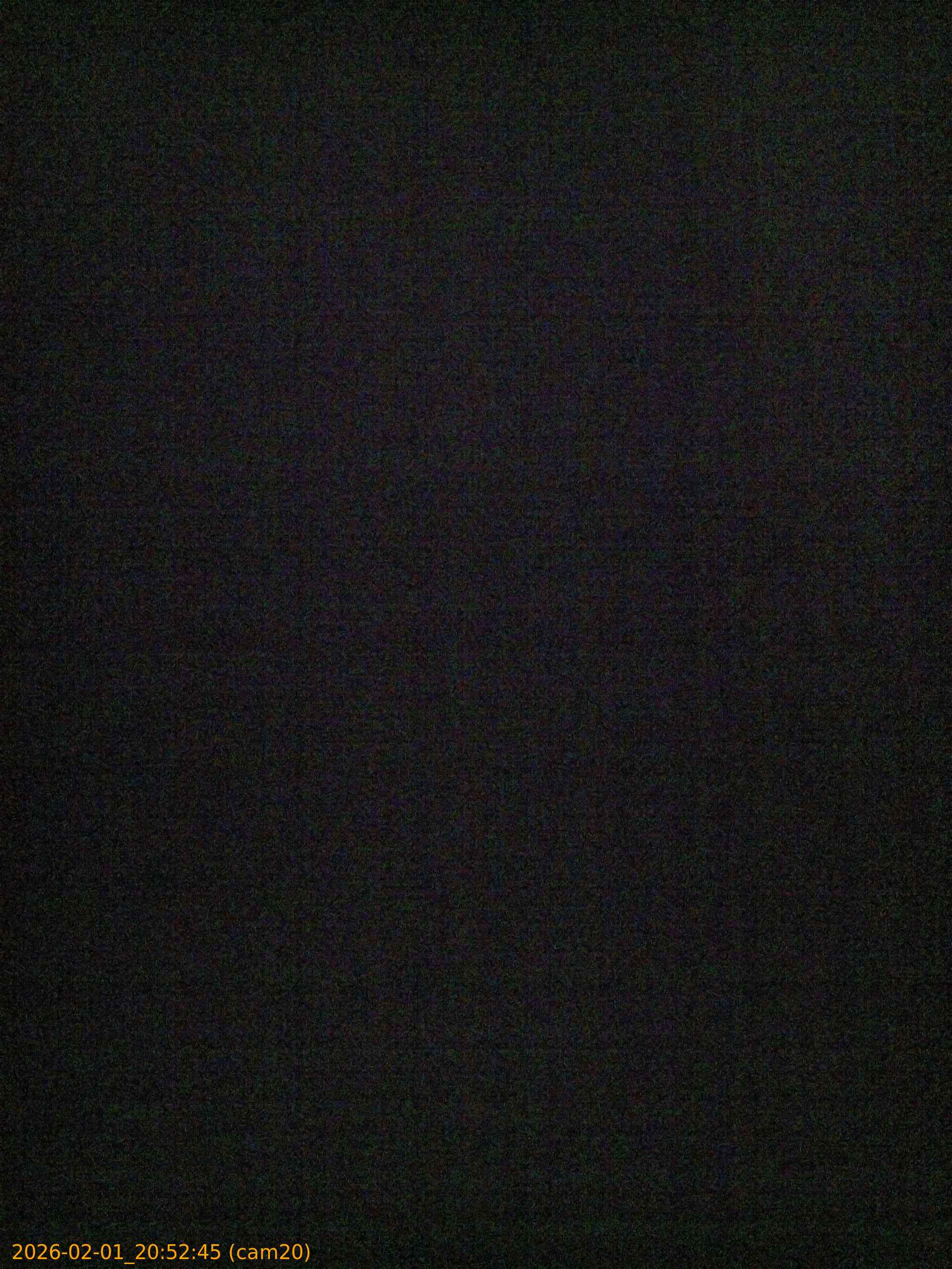 thumbnail_20260201205245