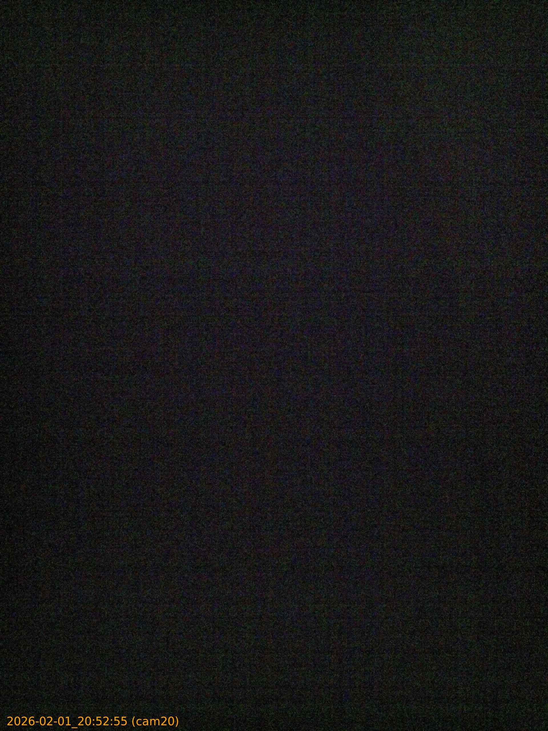 thumbnail_20260201205255