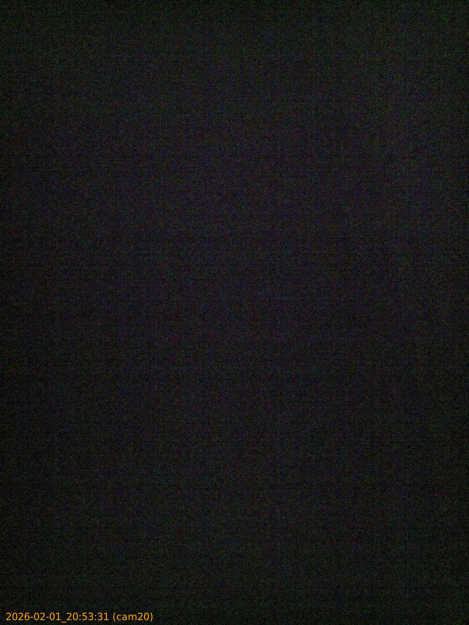 thumbnail_20260201205331