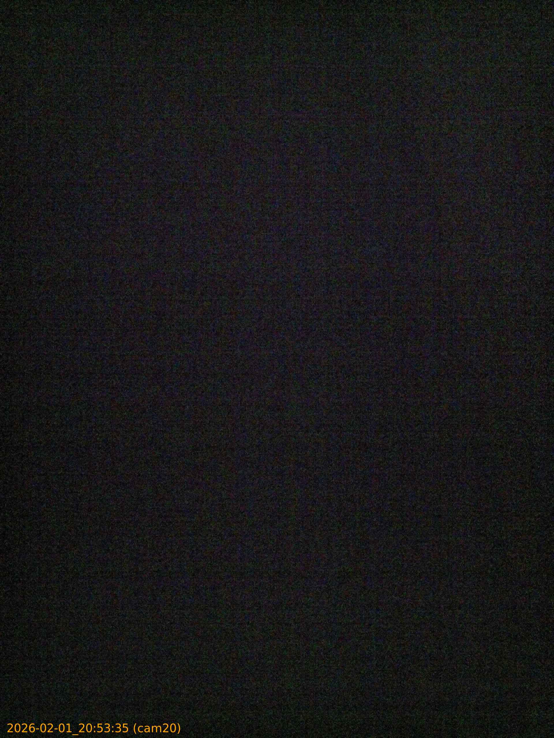 thumbnail_20260201205335