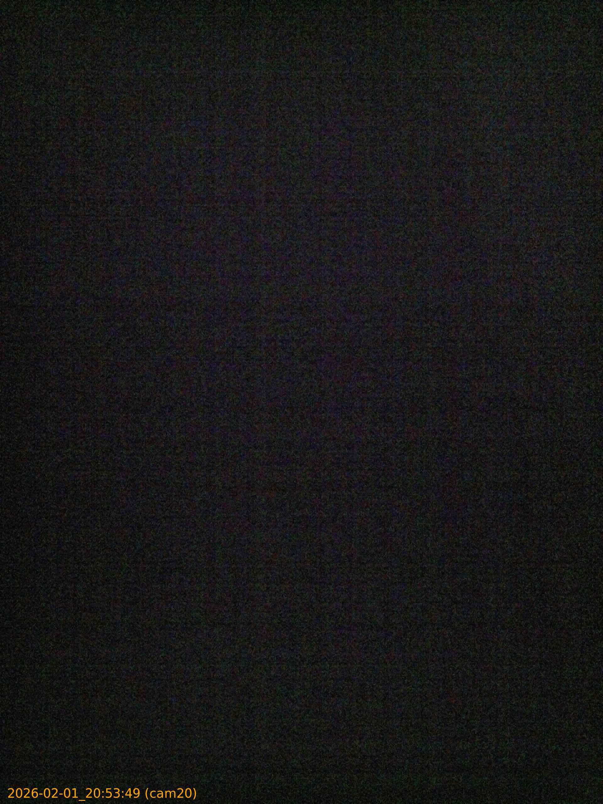 thumbnail_20260201205349