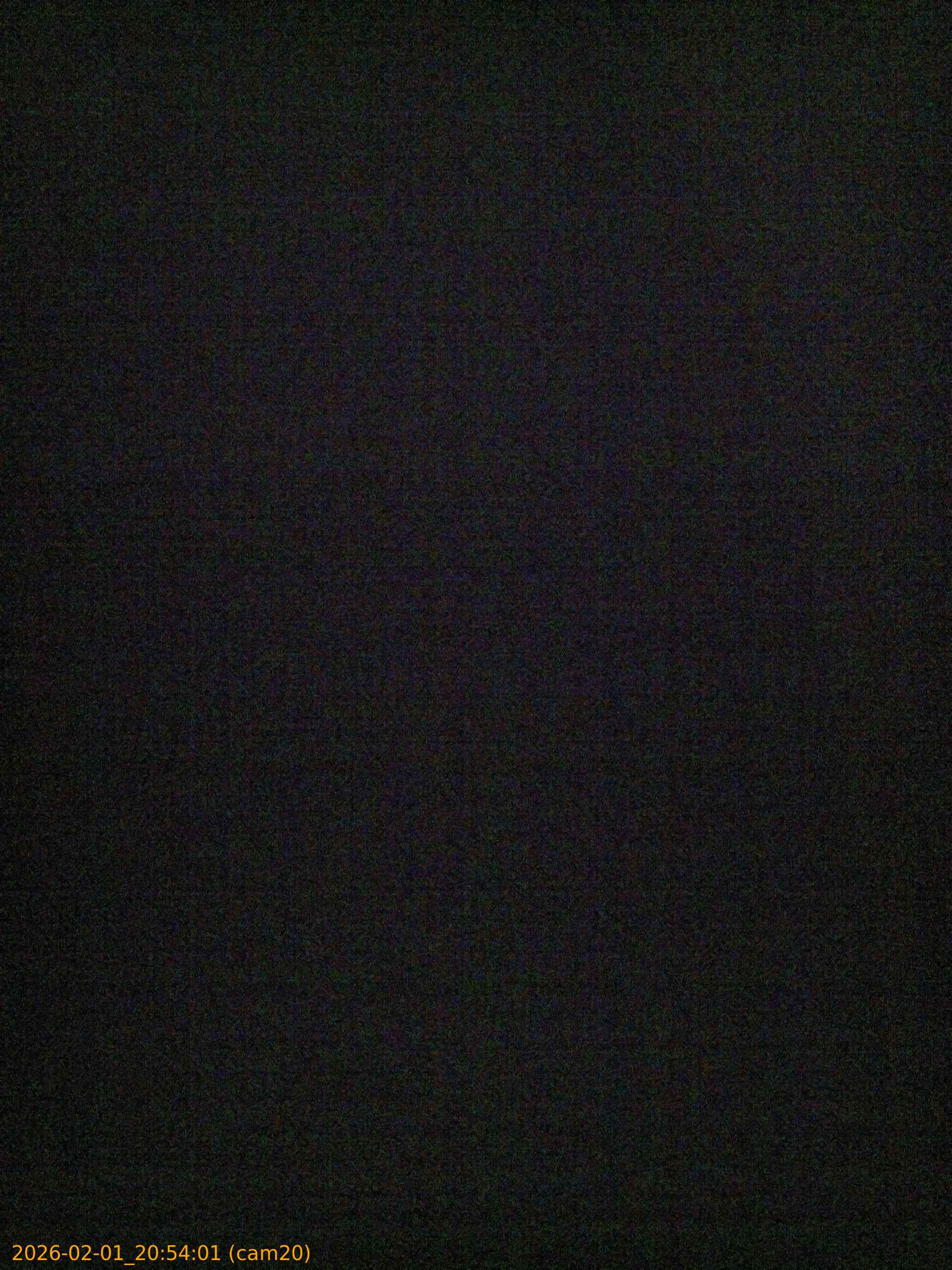 thumbnail_20260201205401