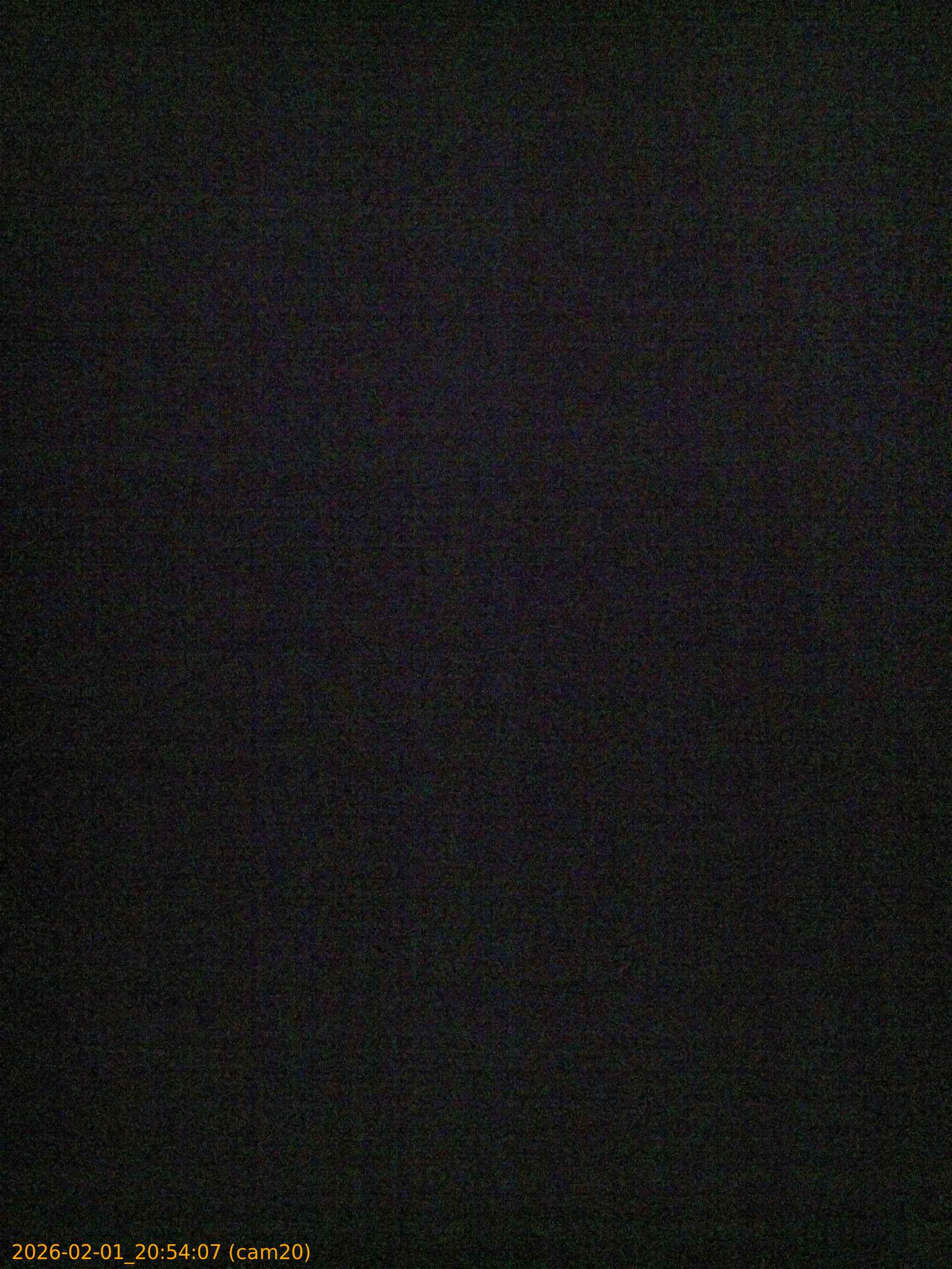 thumbnail_20260201205407