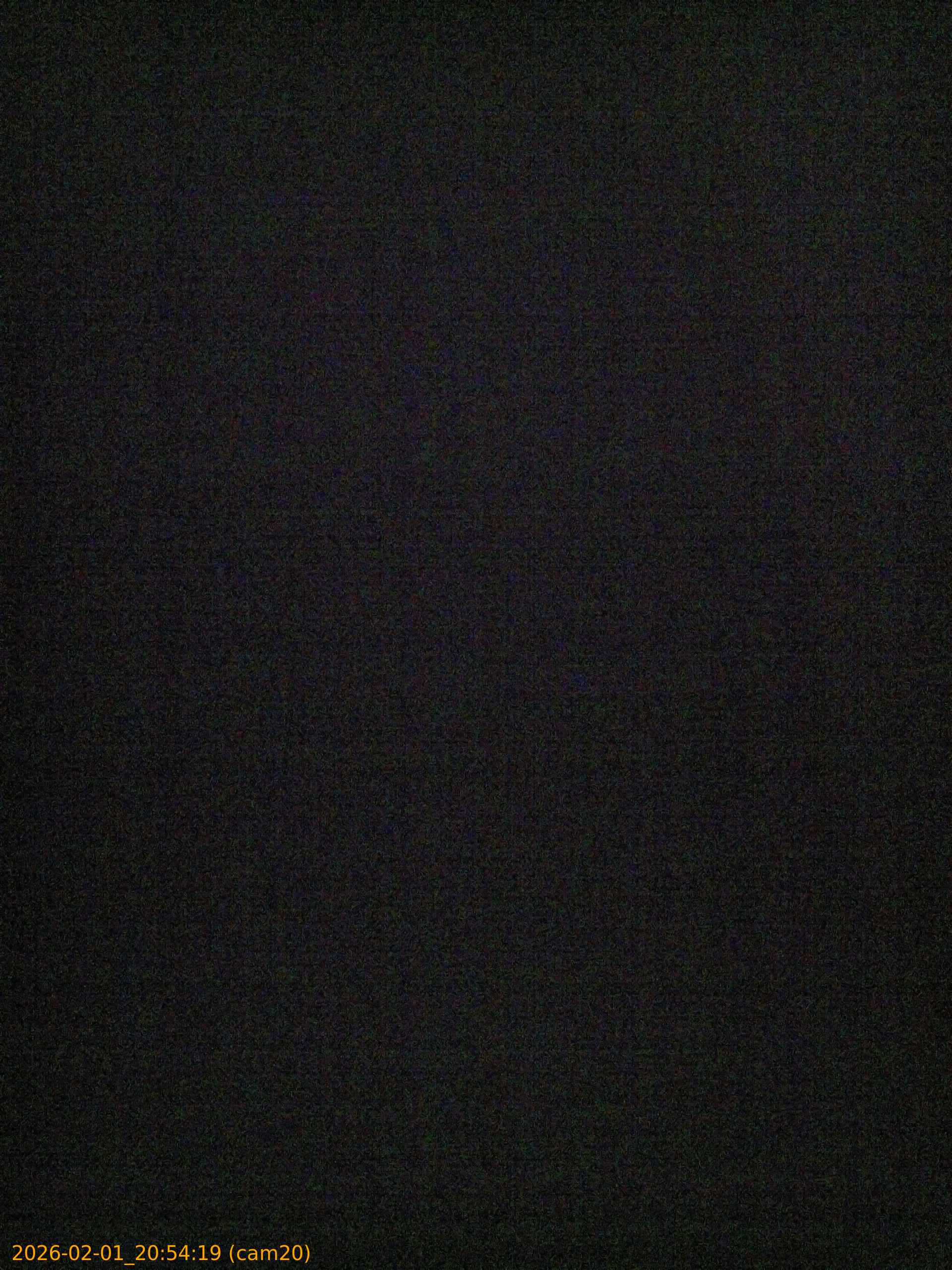 thumbnail_20260201205419