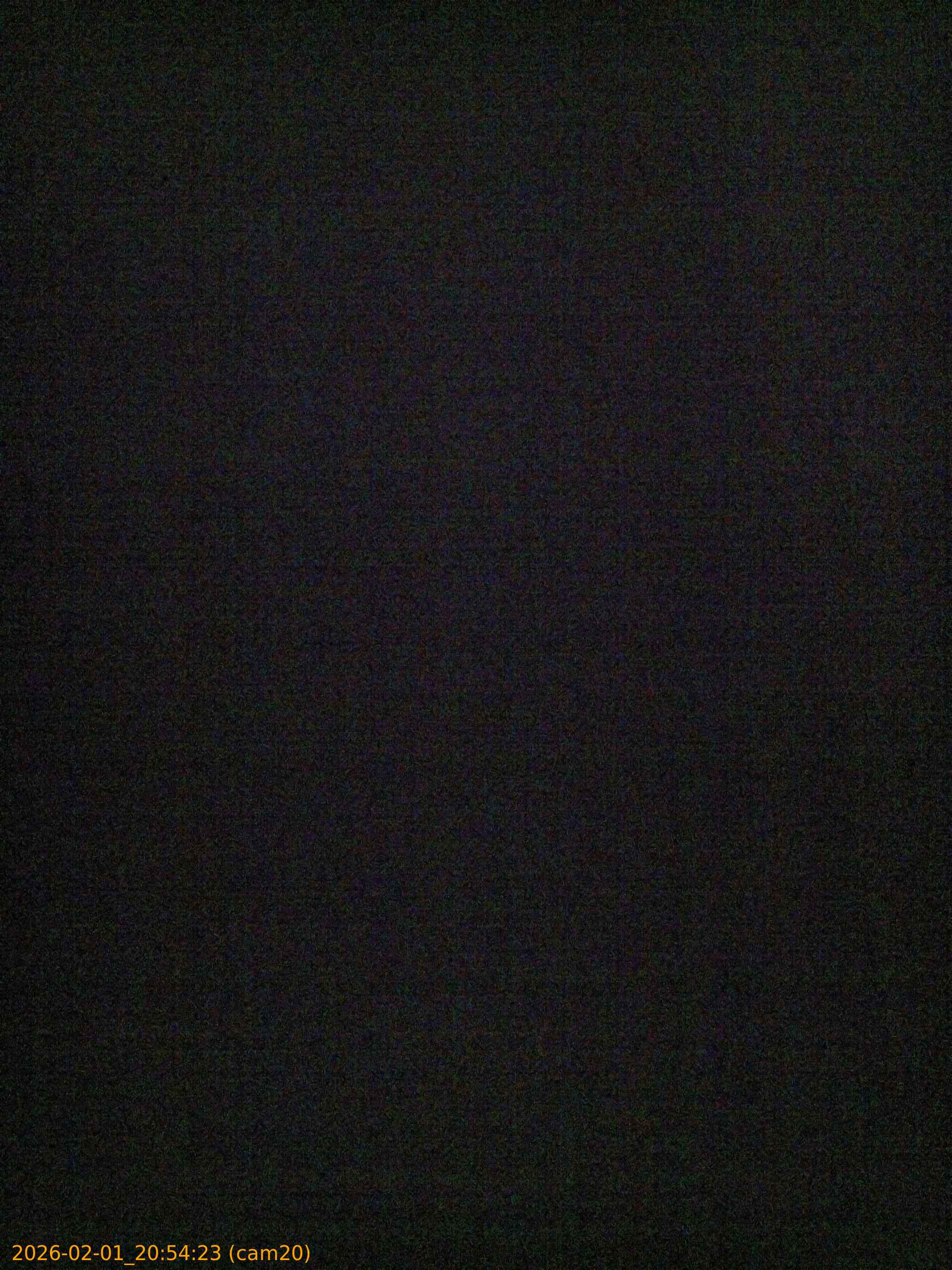 thumbnail_20260201205423