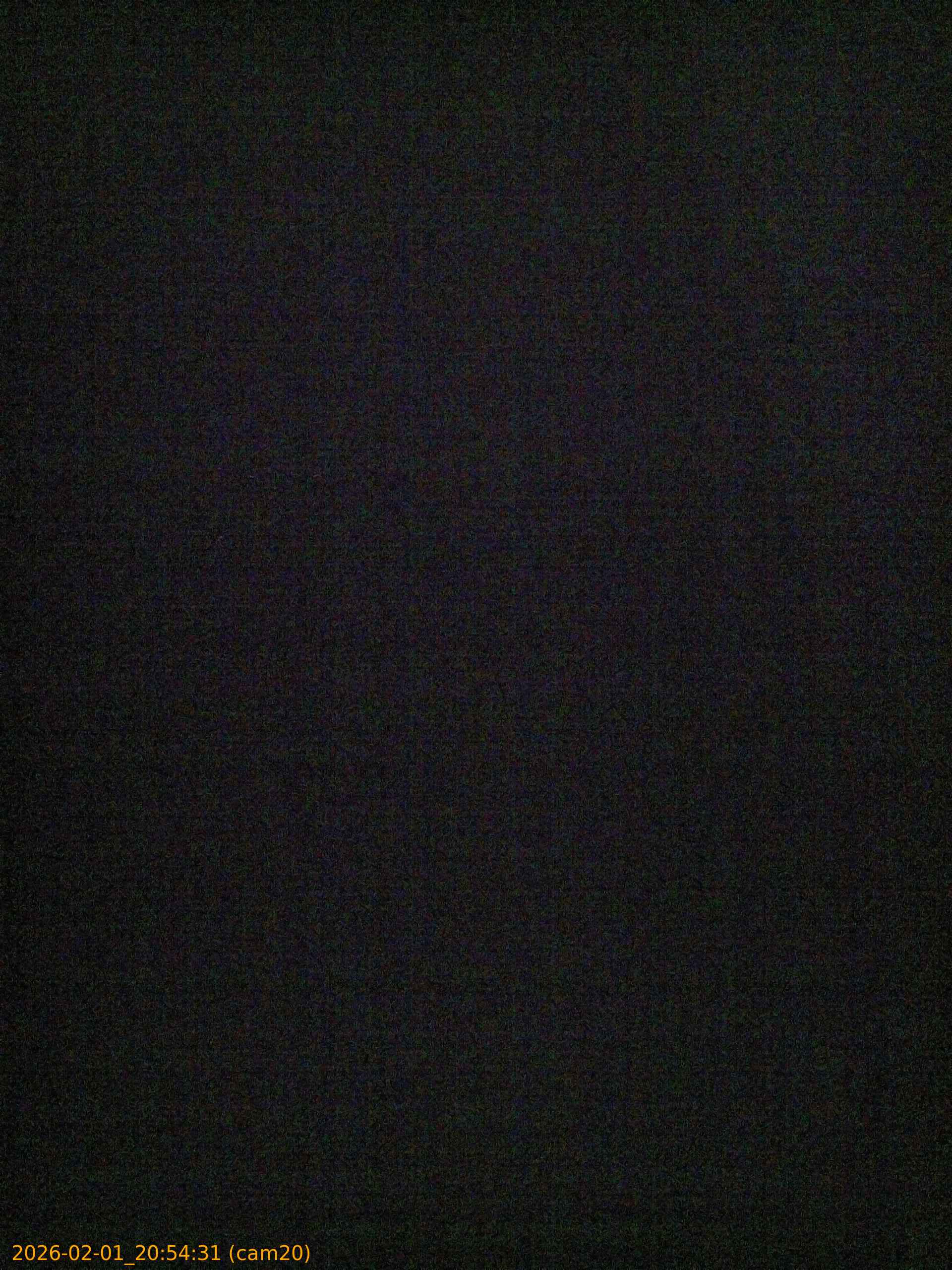 thumbnail_20260201205431