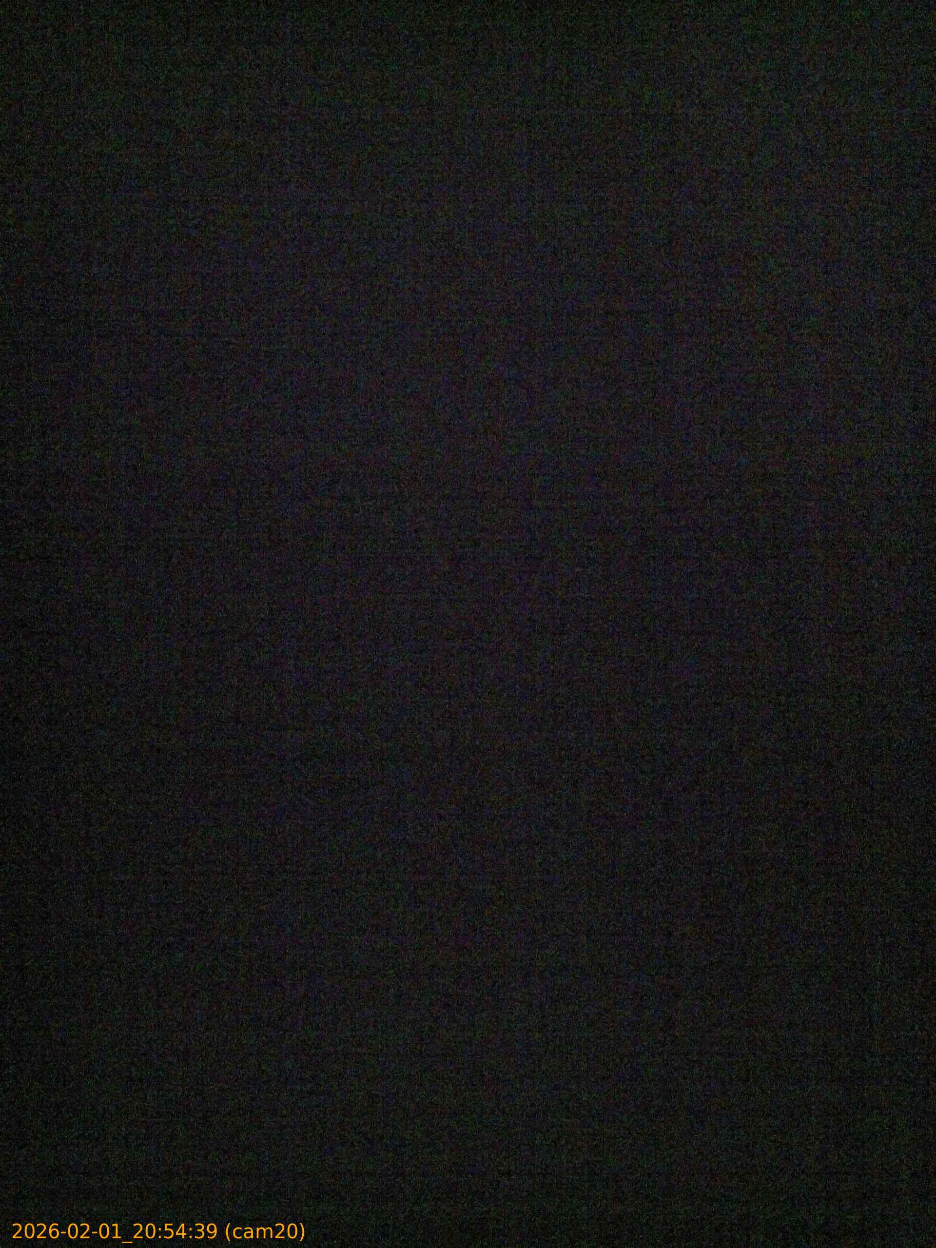 thumbnail_20260201205439