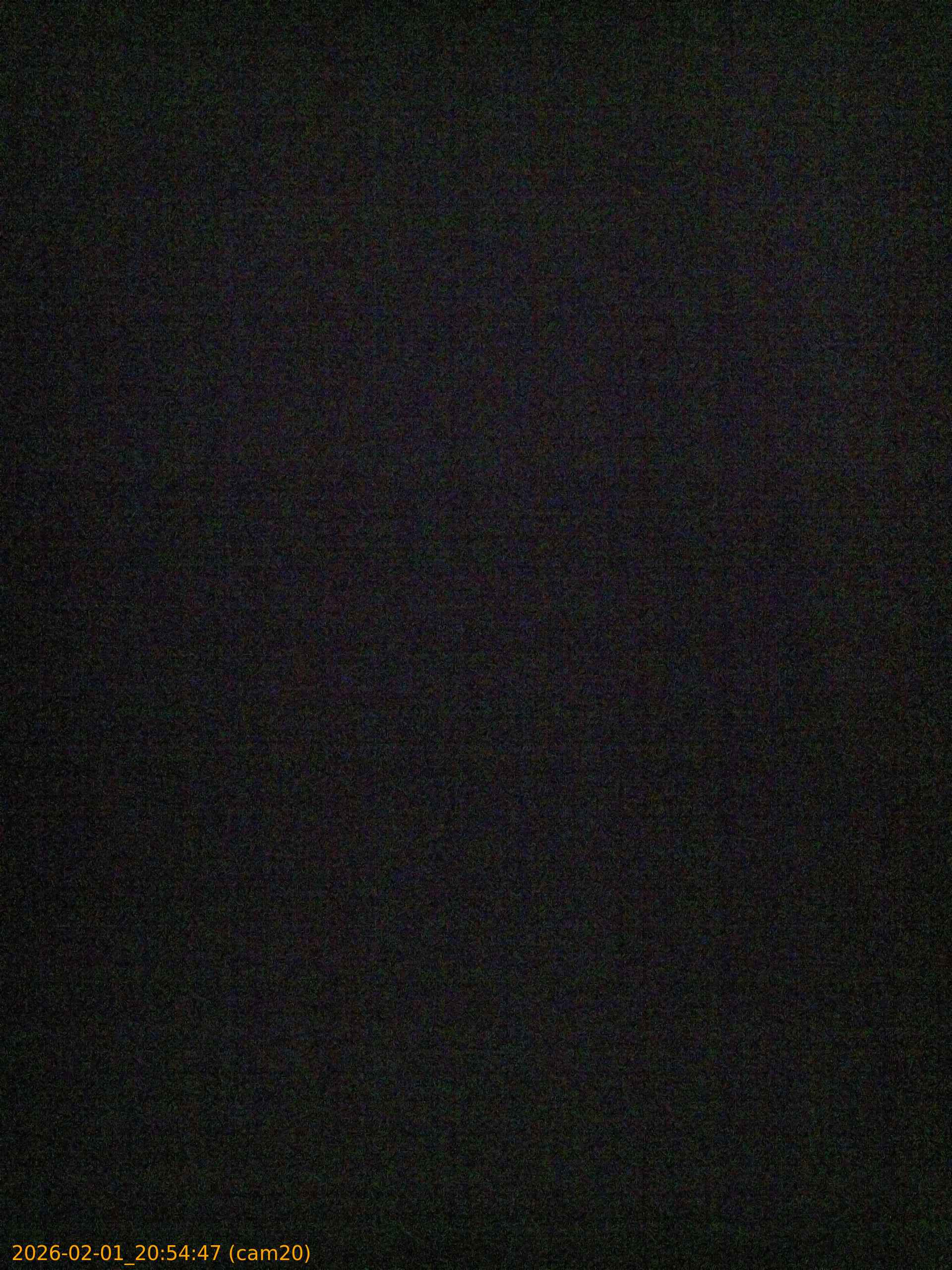 thumbnail_20260201205447