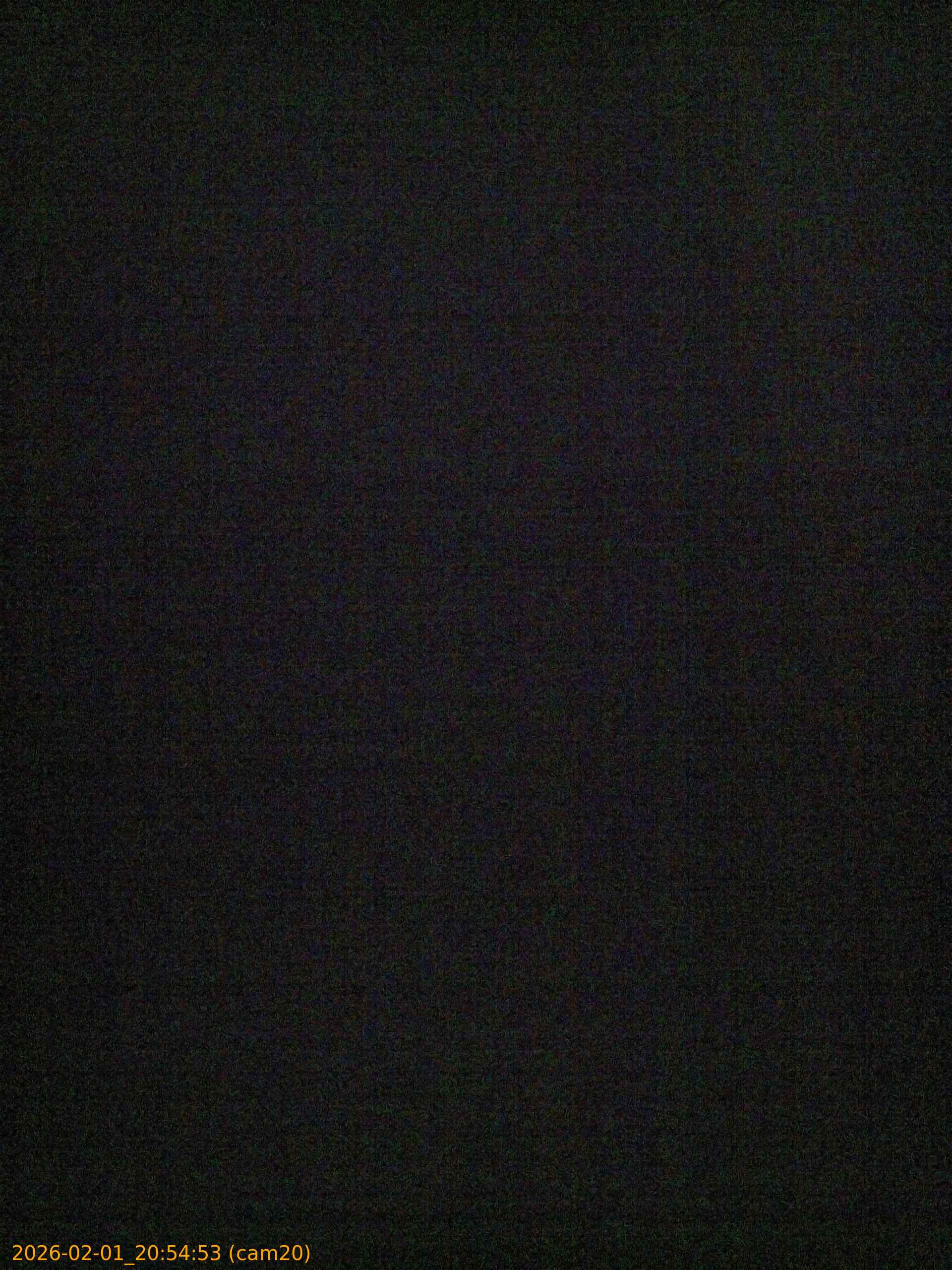 thumbnail_20260201205453