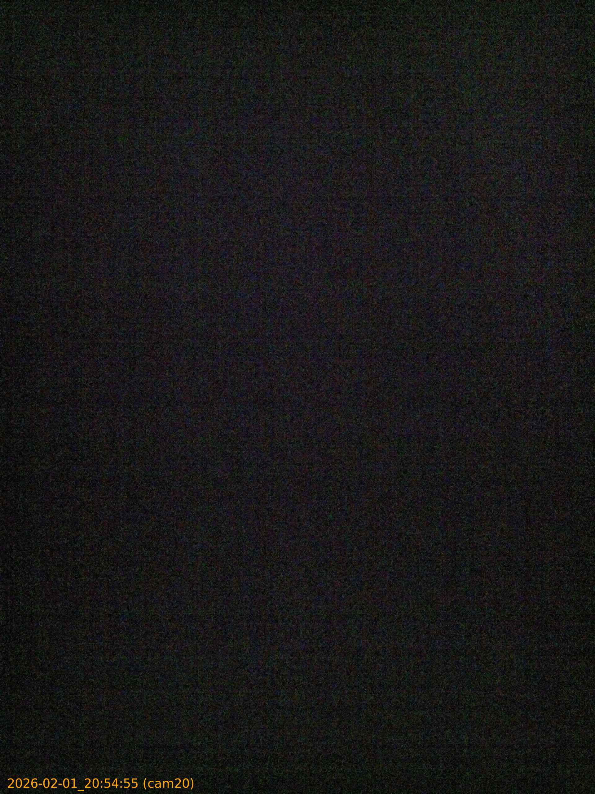 thumbnail_20260201205455