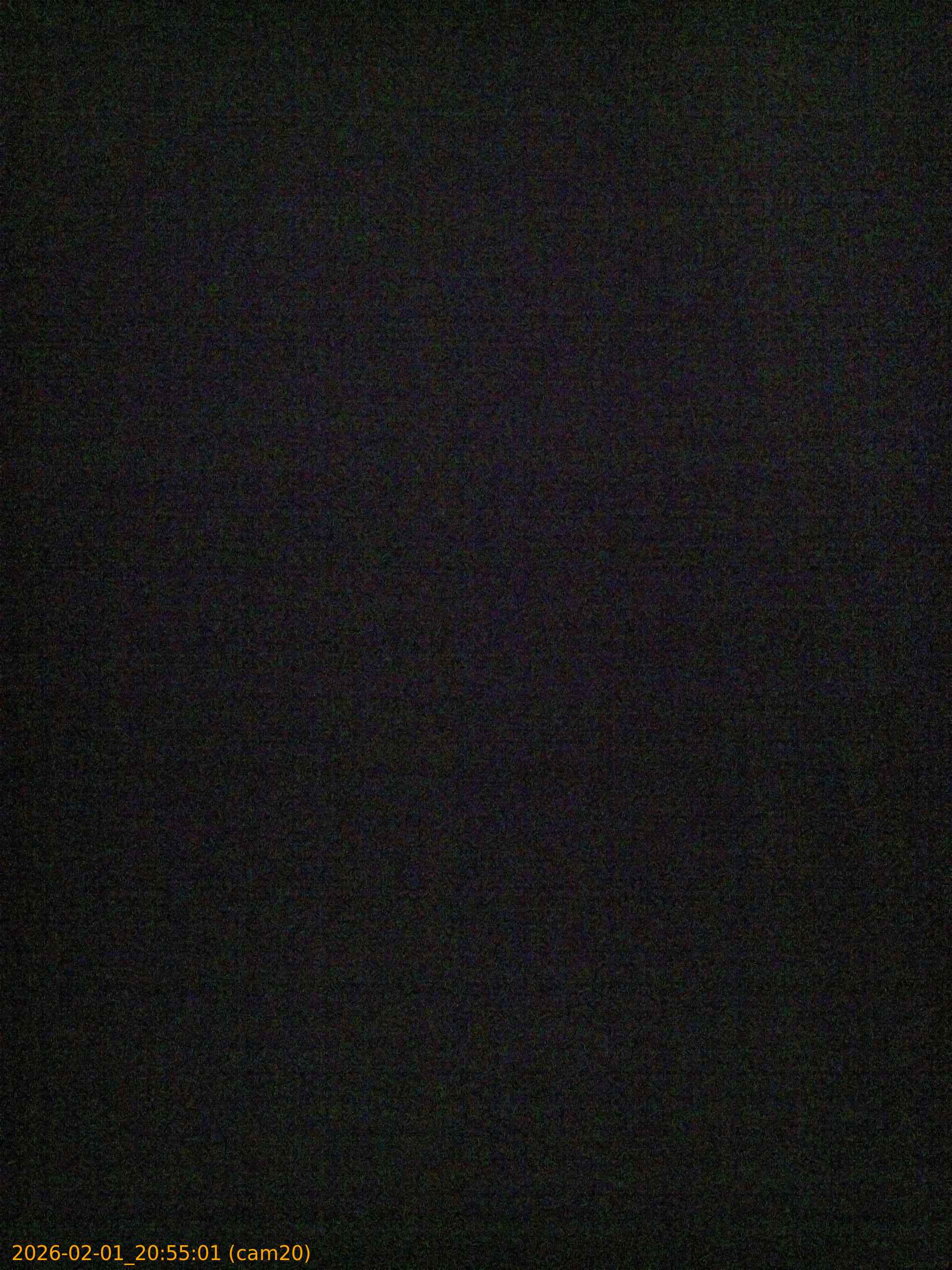 thumbnail_20260201205501