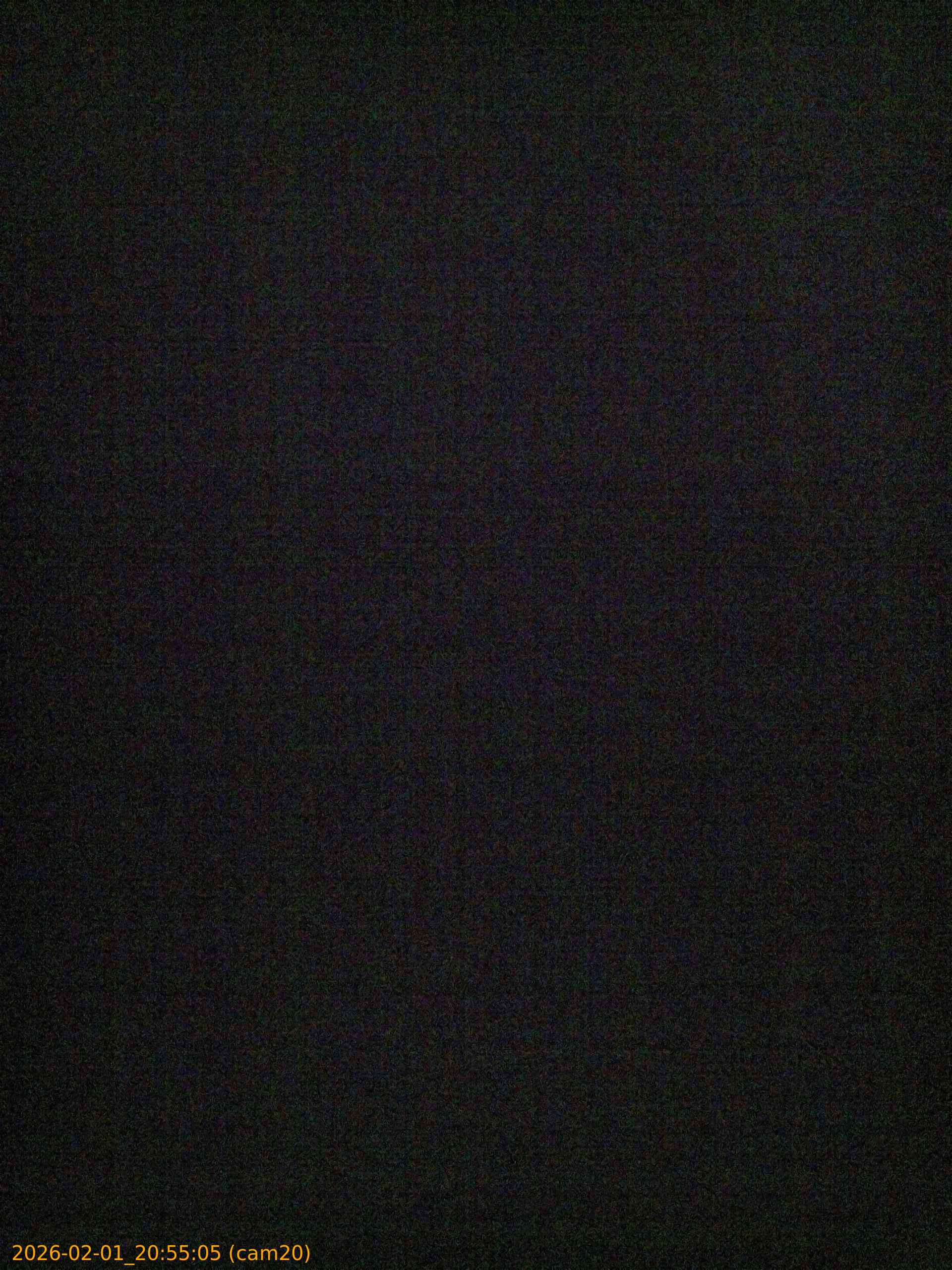 thumbnail_20260201205505