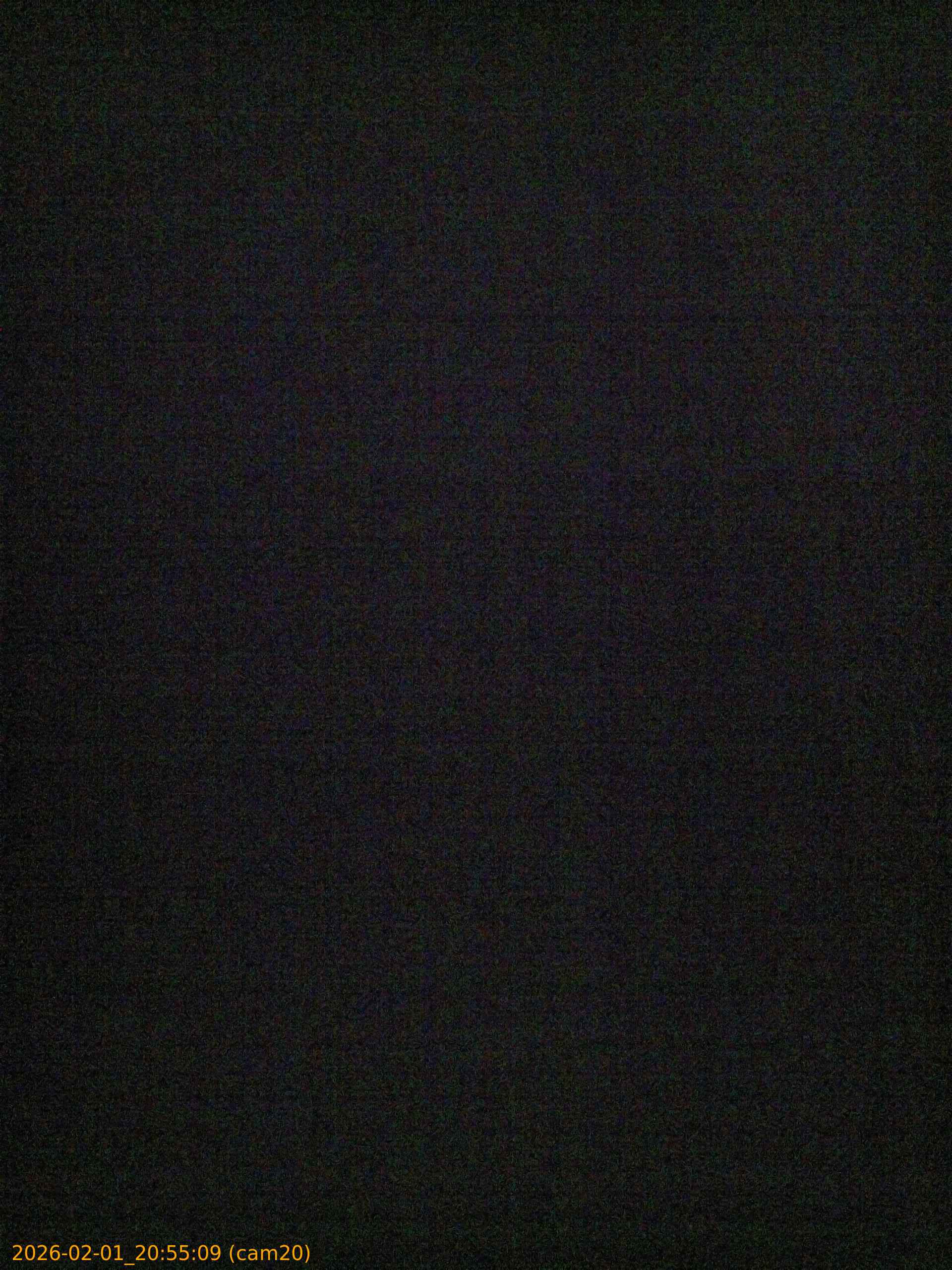 thumbnail_20260201205509