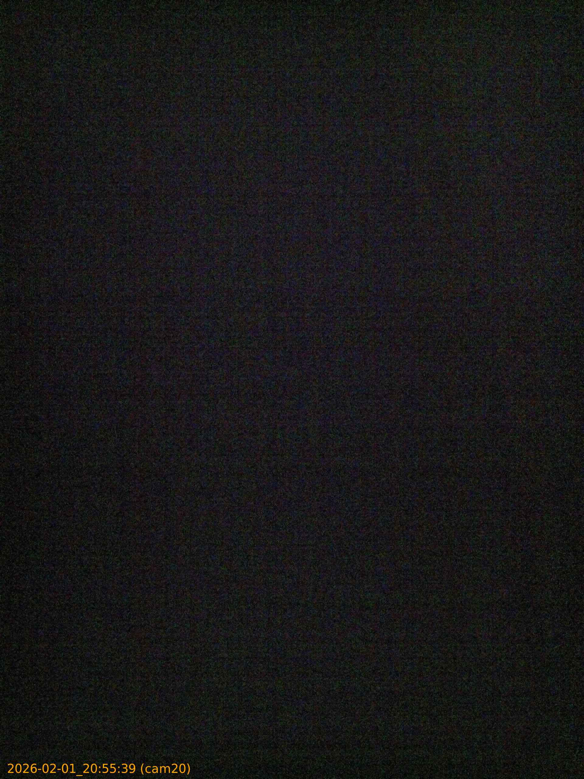 thumbnail_20260201205539