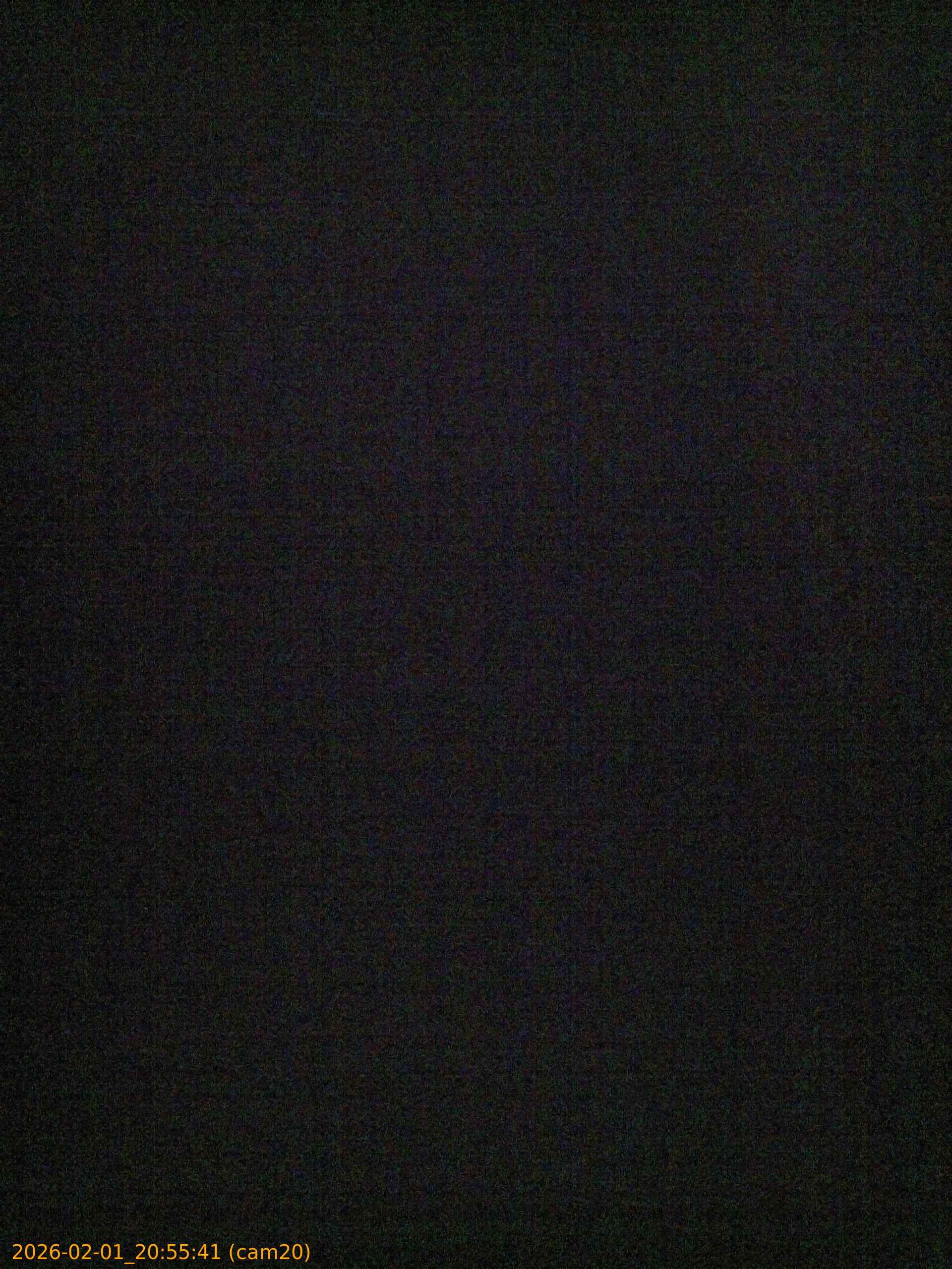 thumbnail_20260201205541