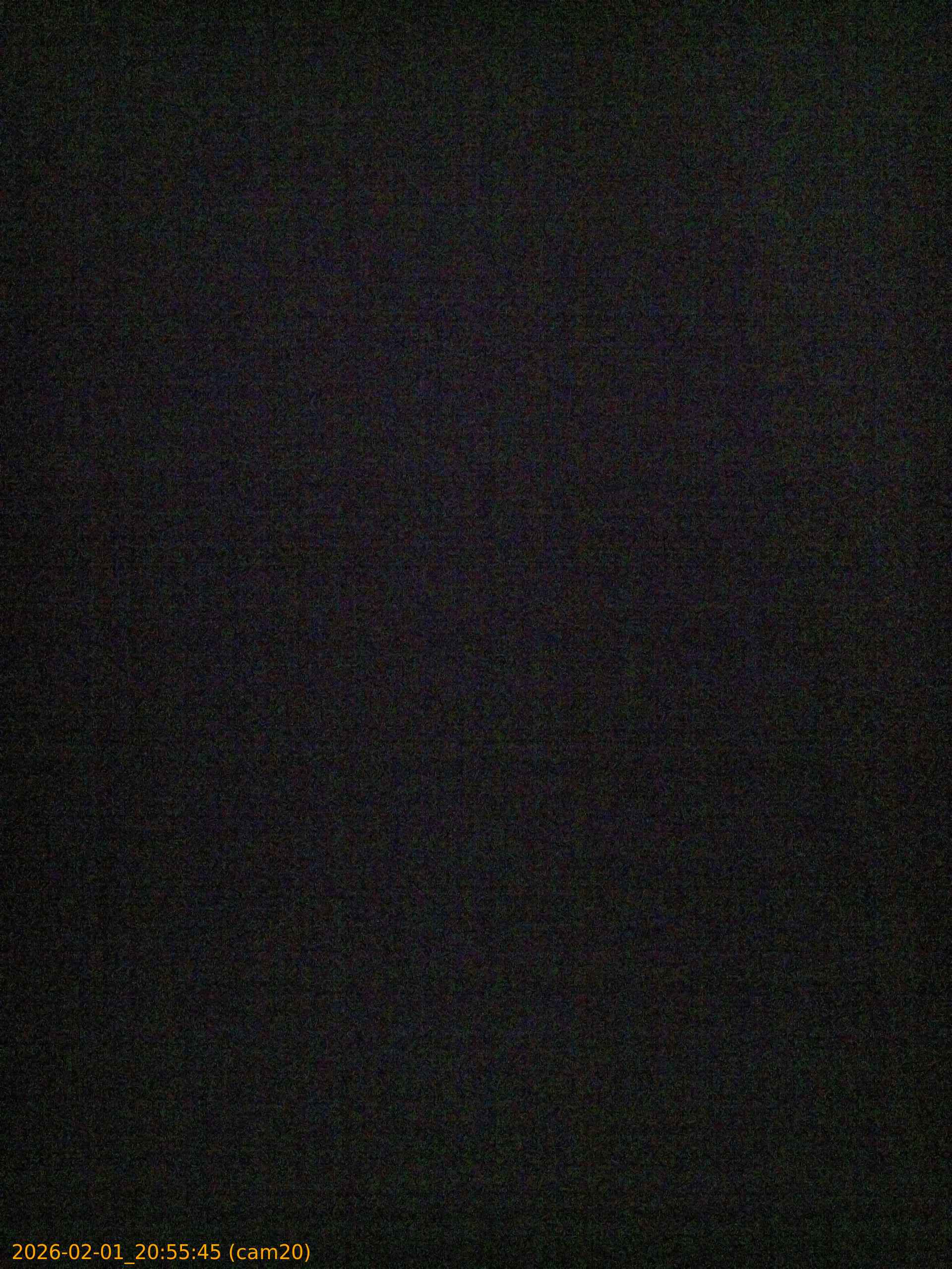 thumbnail_20260201205545