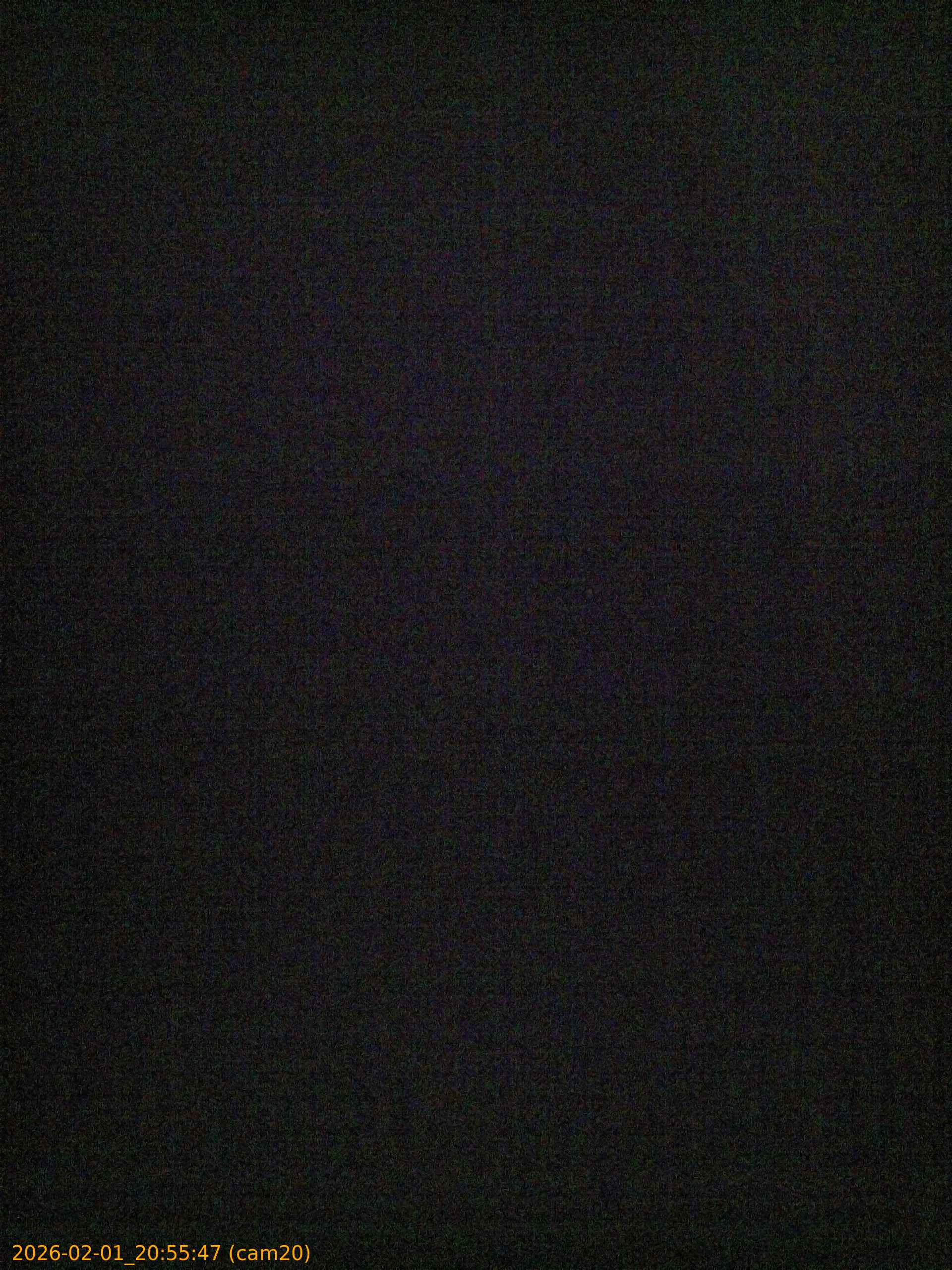 thumbnail_20260201205547