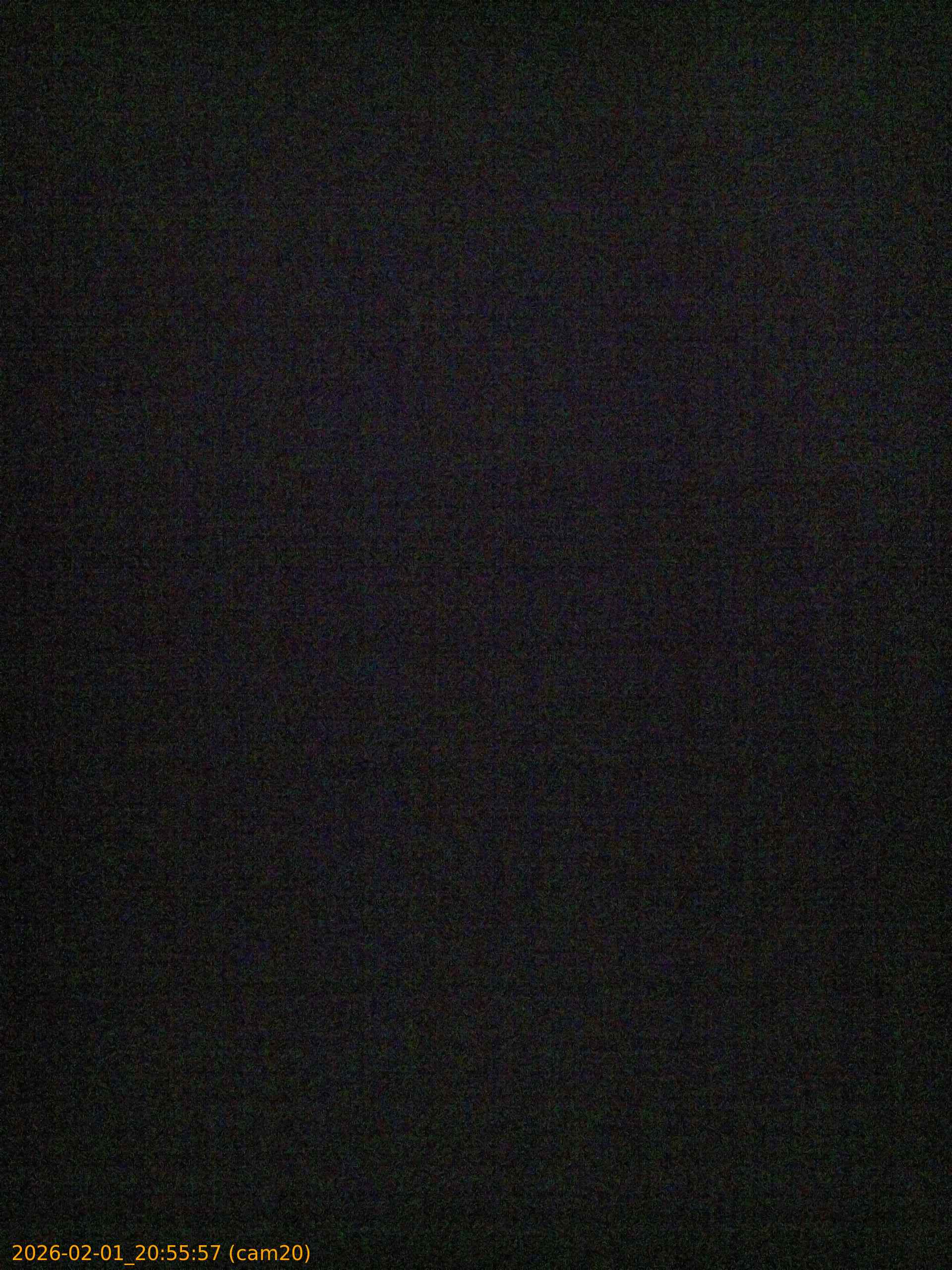 thumbnail_20260201205557