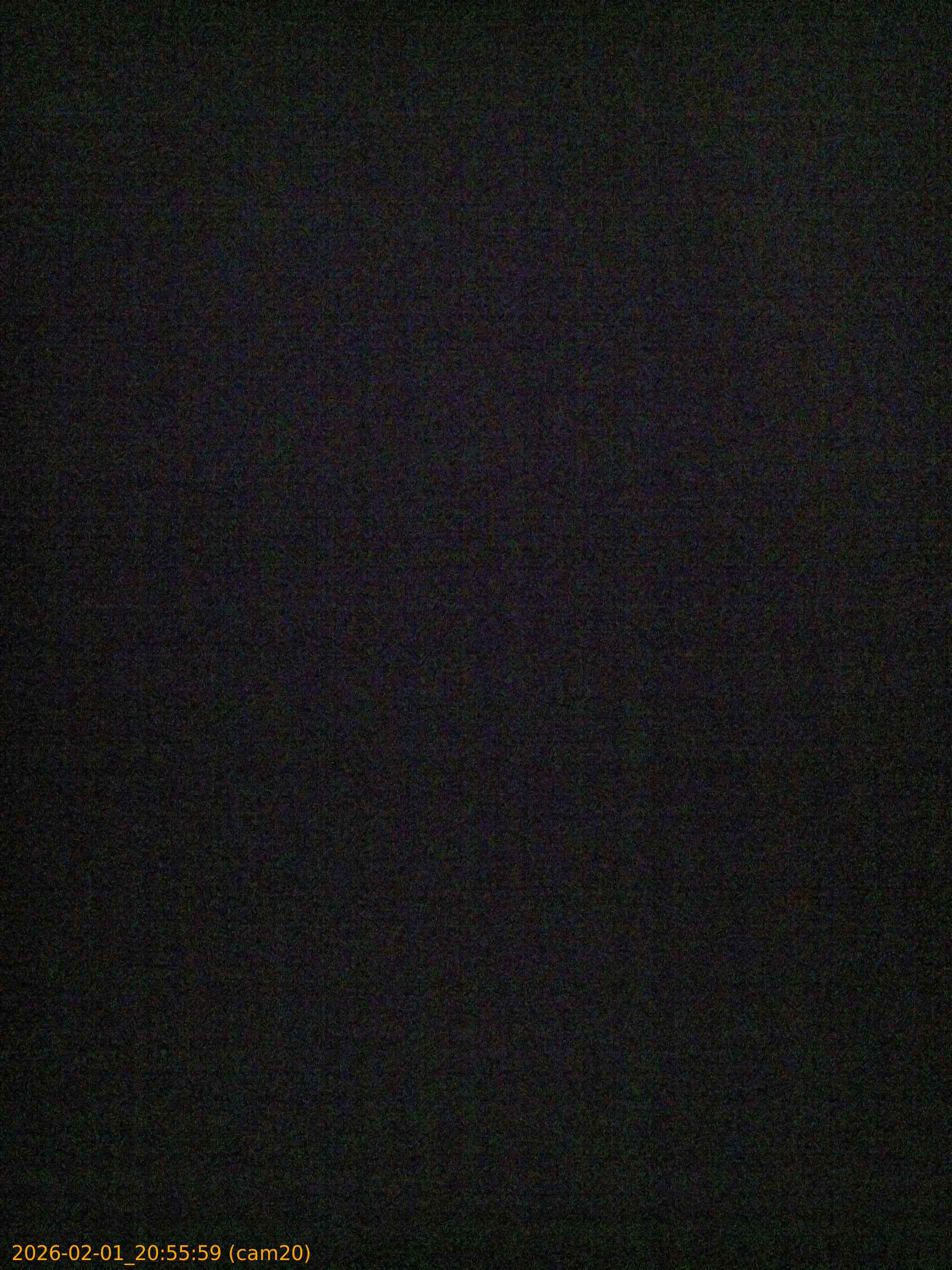 thumbnail_20260201205559