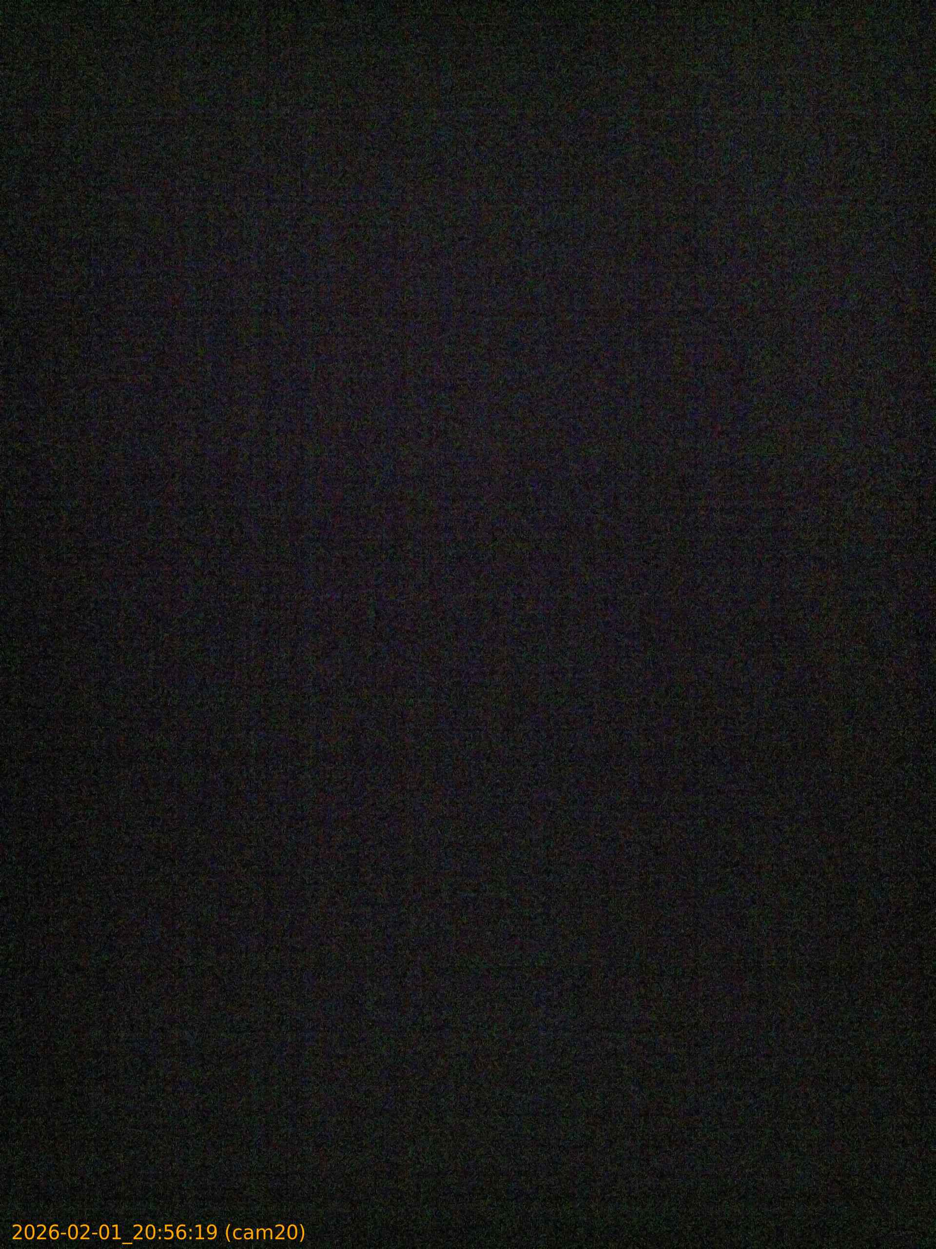 thumbnail_20260201205619