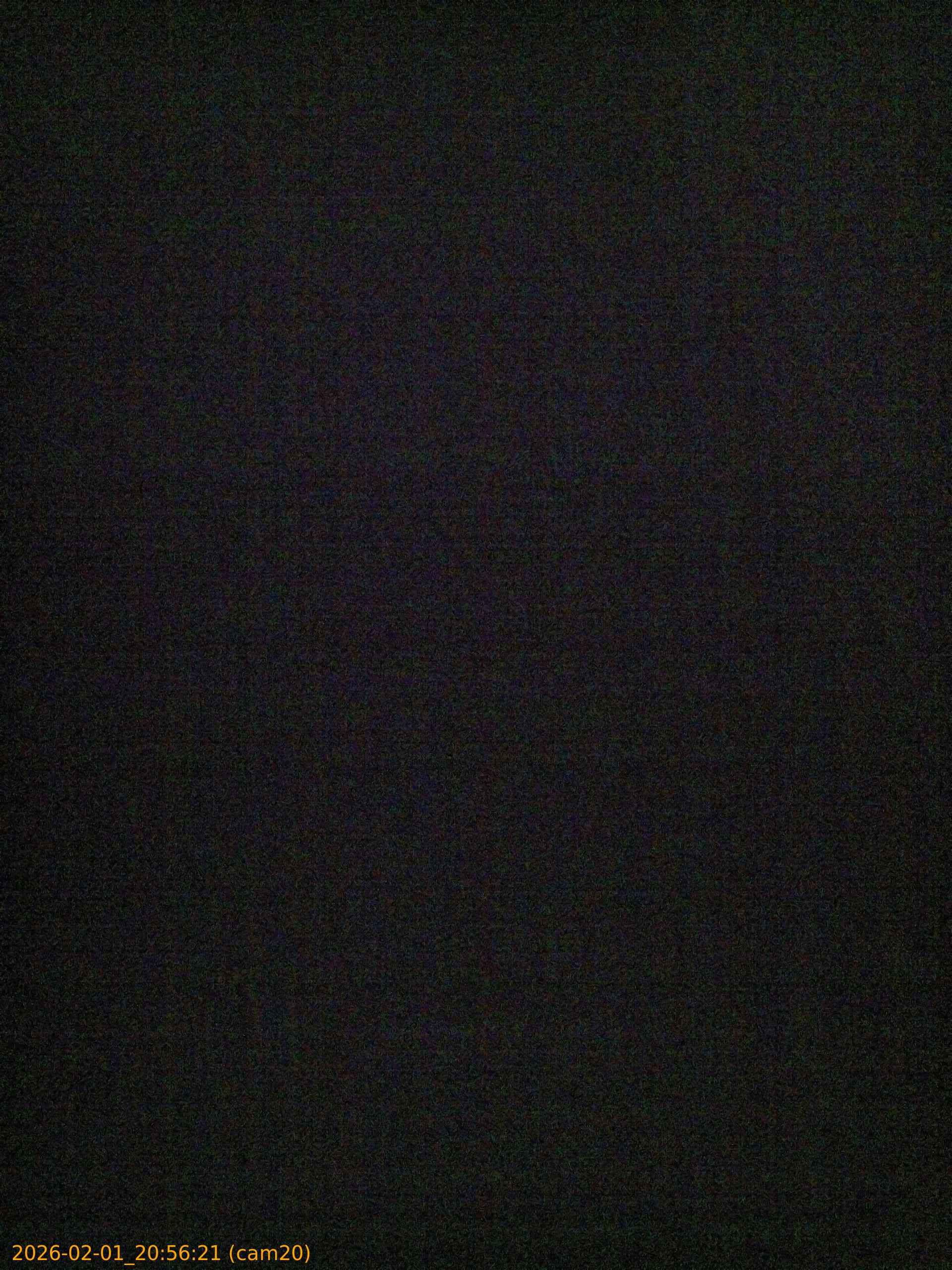 thumbnail_20260201205621